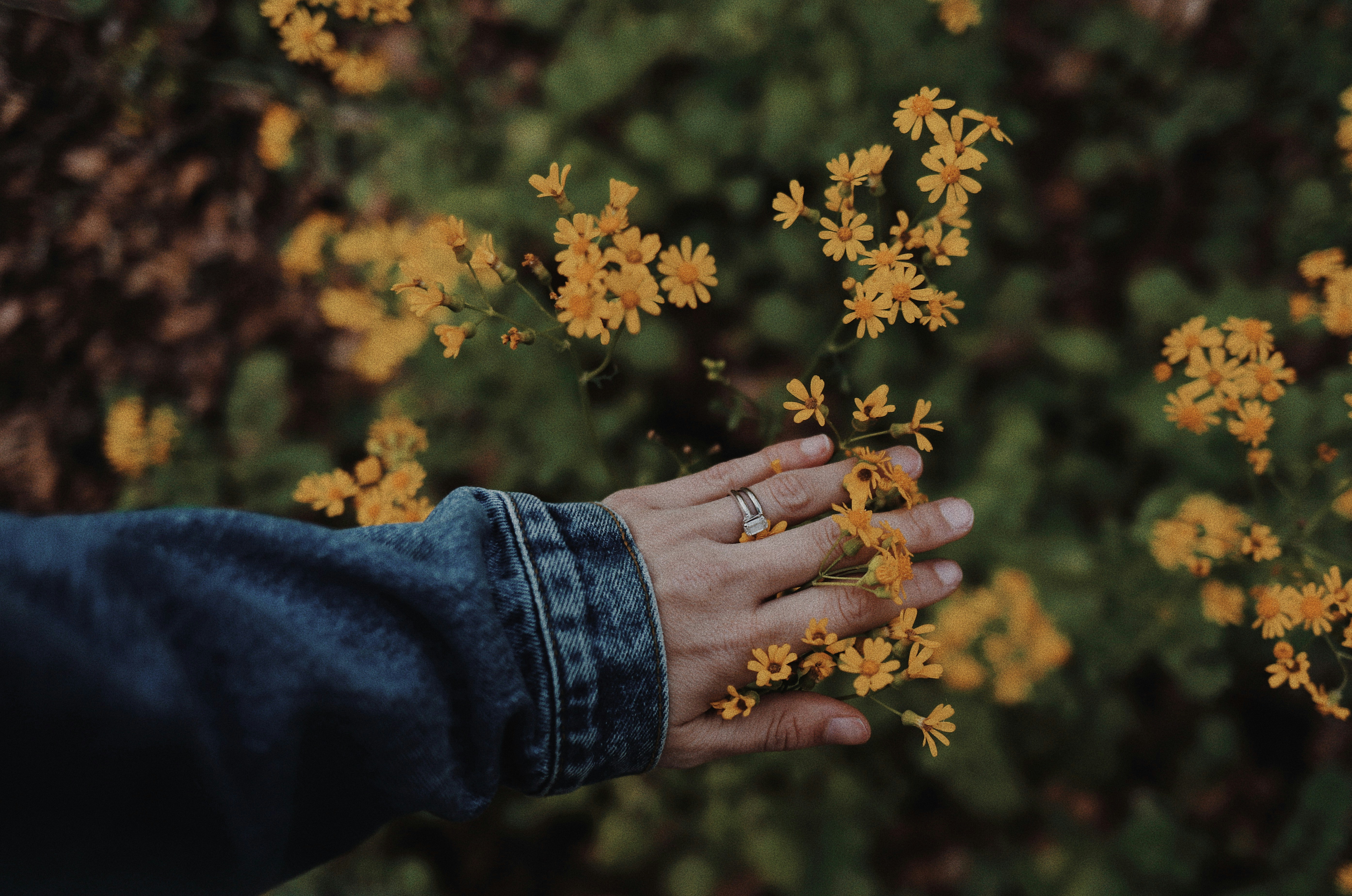 Hand With Ring Resting on Wildflowers