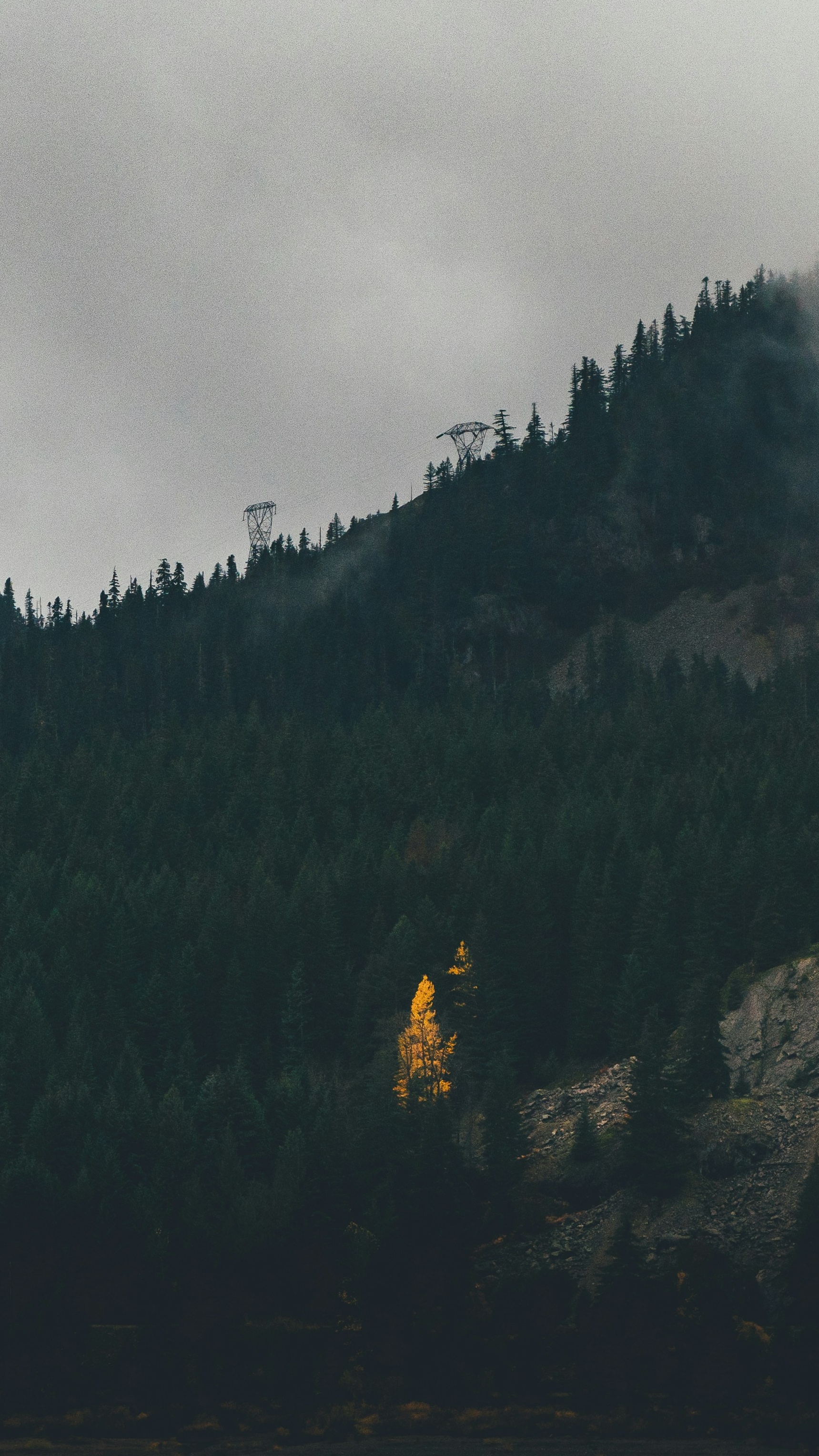 Wallpapers