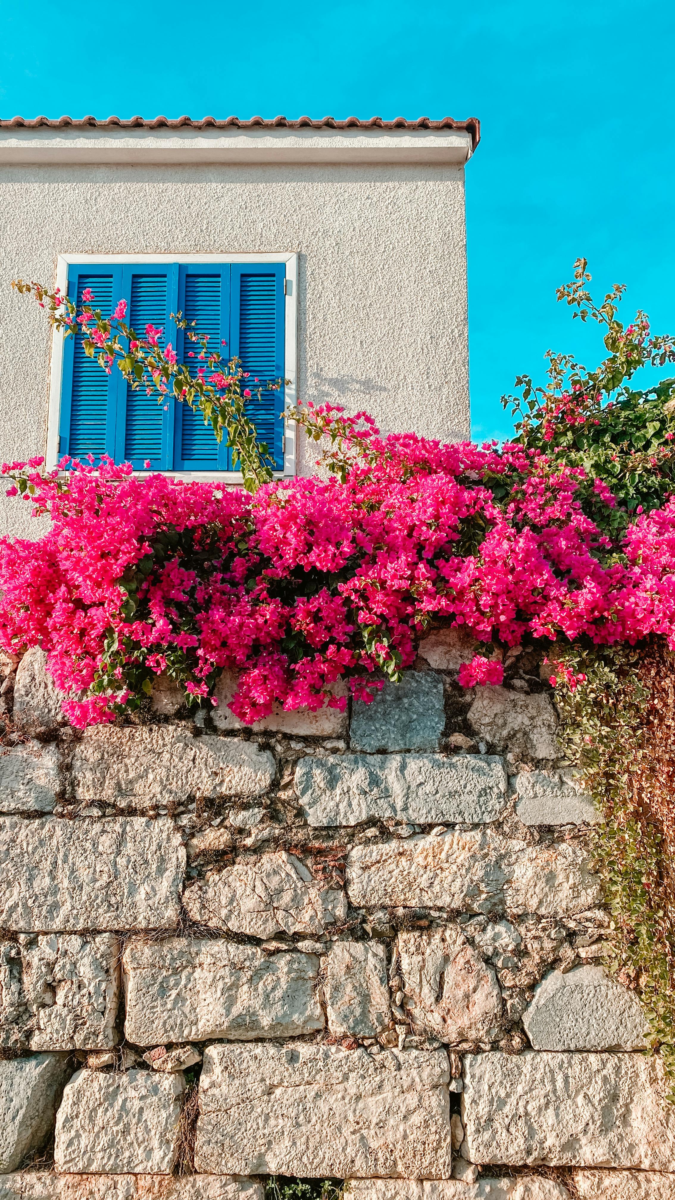 Home Decoration
