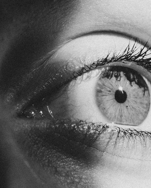 Close Up of a Human Eye