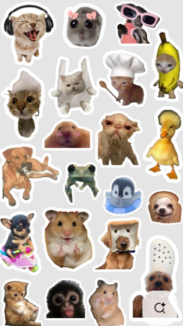 Image 30146 — Pets