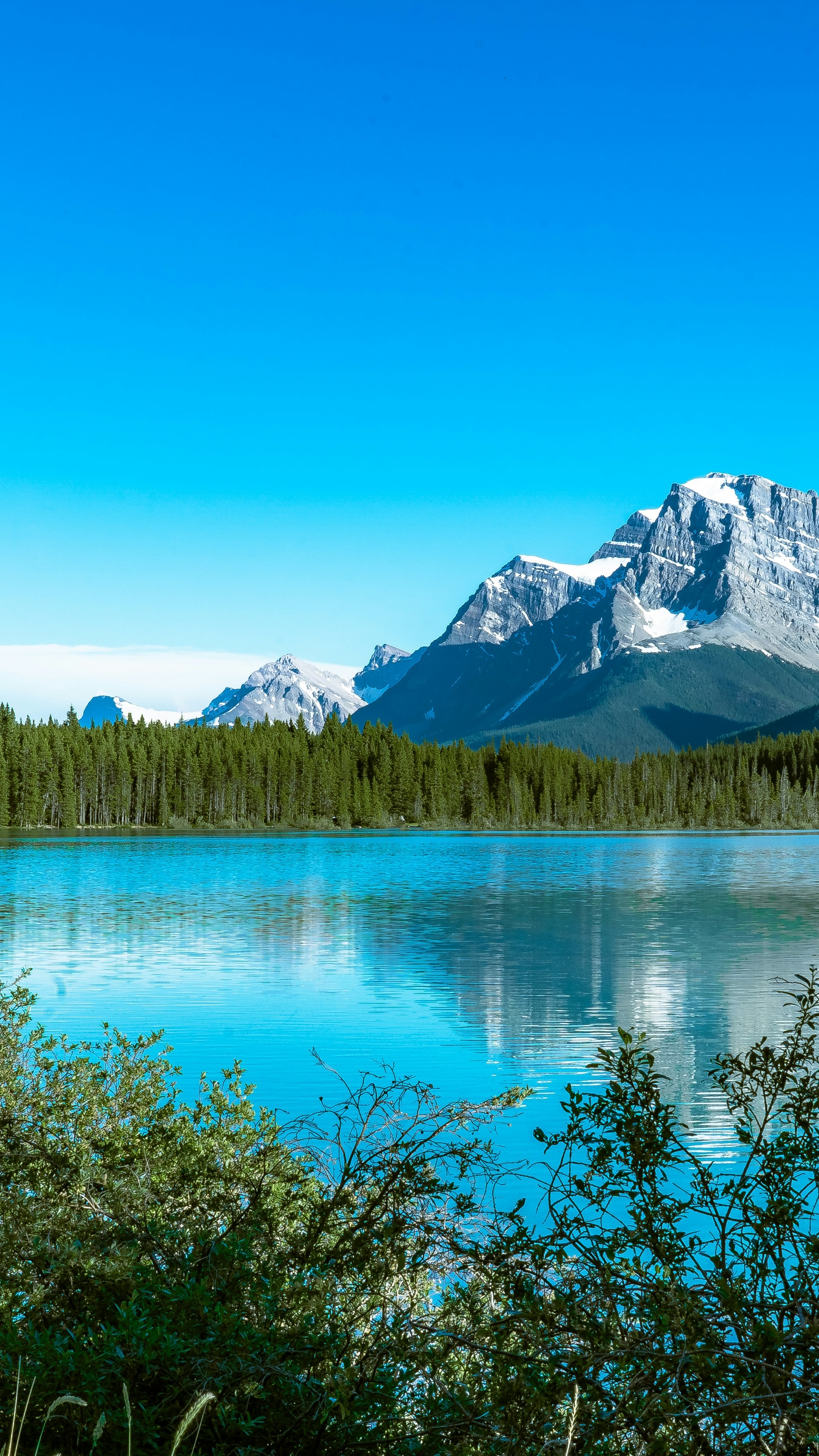 Landscapes