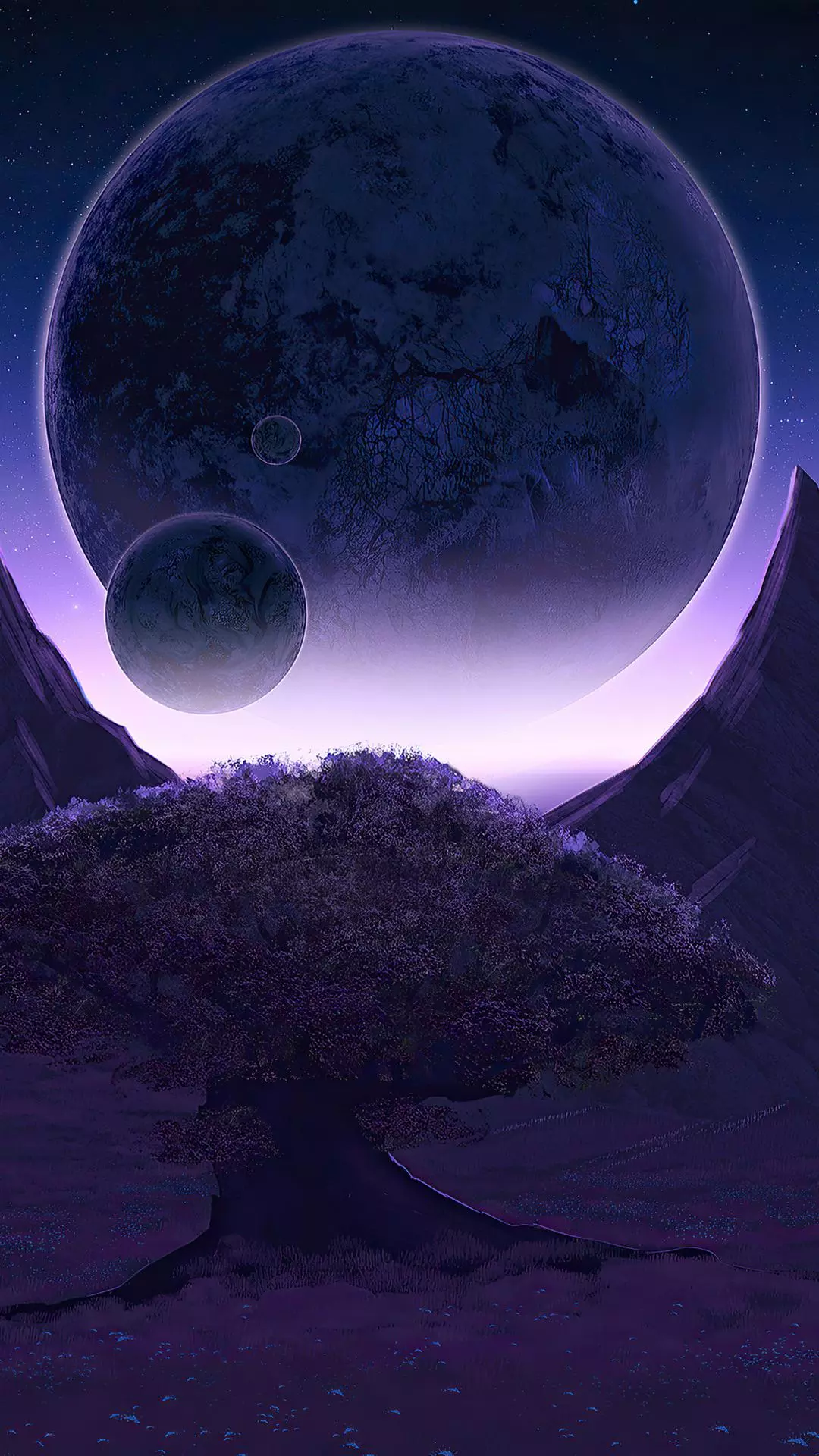 Wallpapers