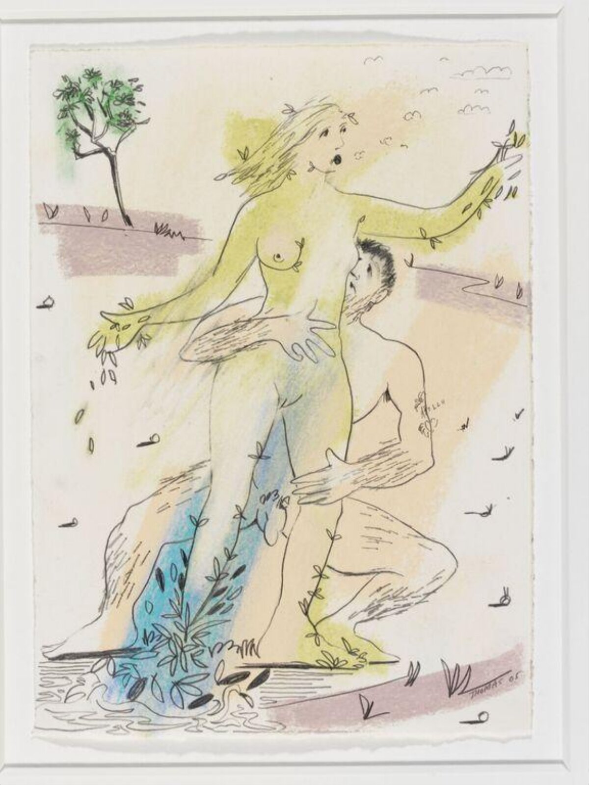 Daphne Metamorphosis Drawing