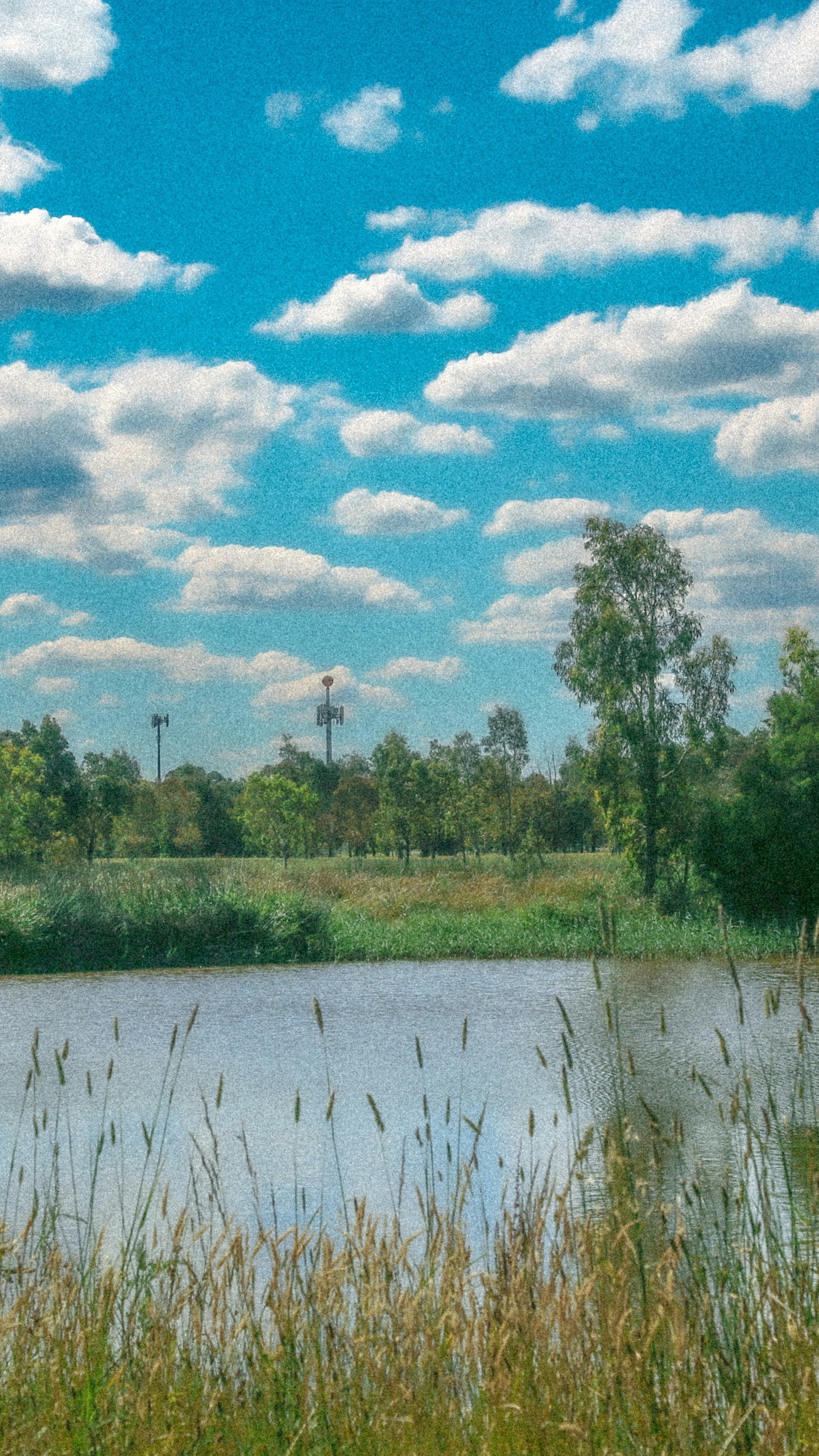 Wallpapers