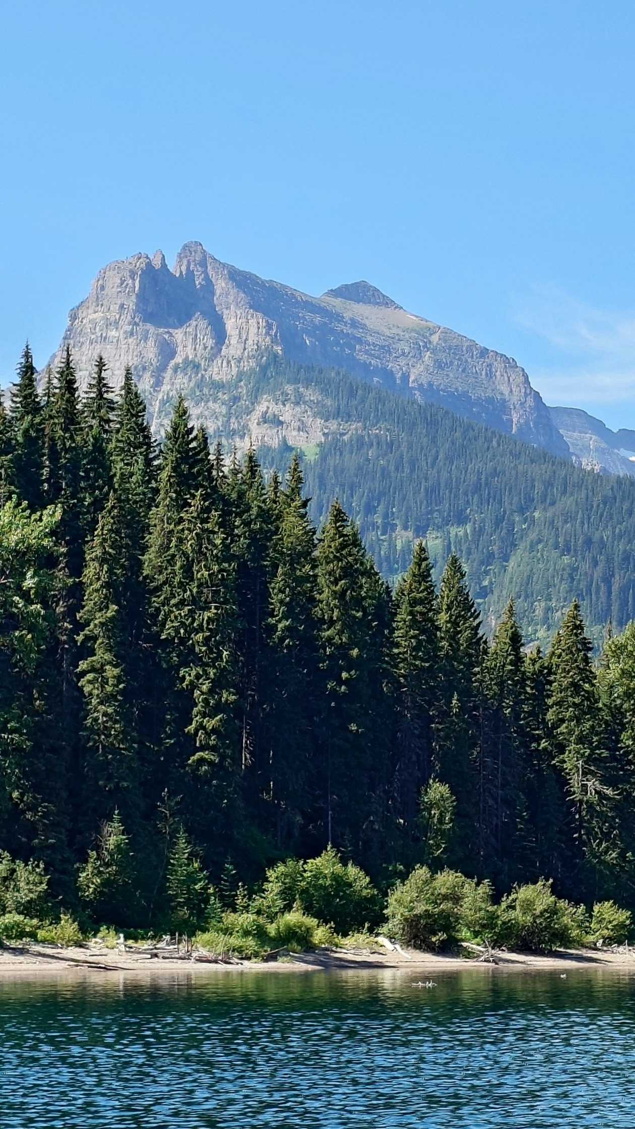Landscapes