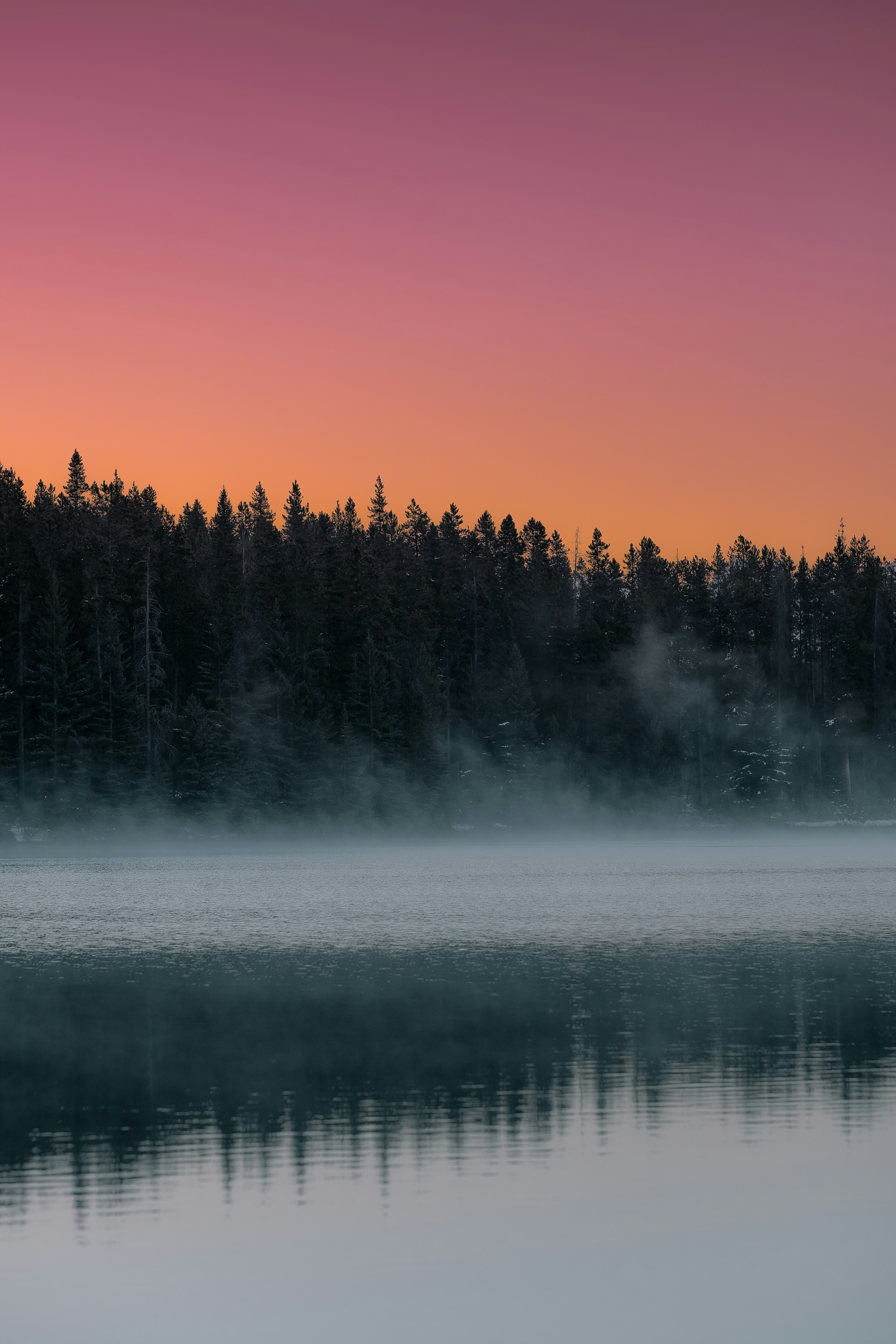 Dusk Over Forest Lake