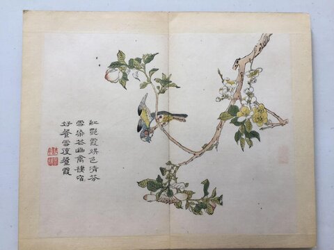 Ancient Chinese Flower-and-bird Painting