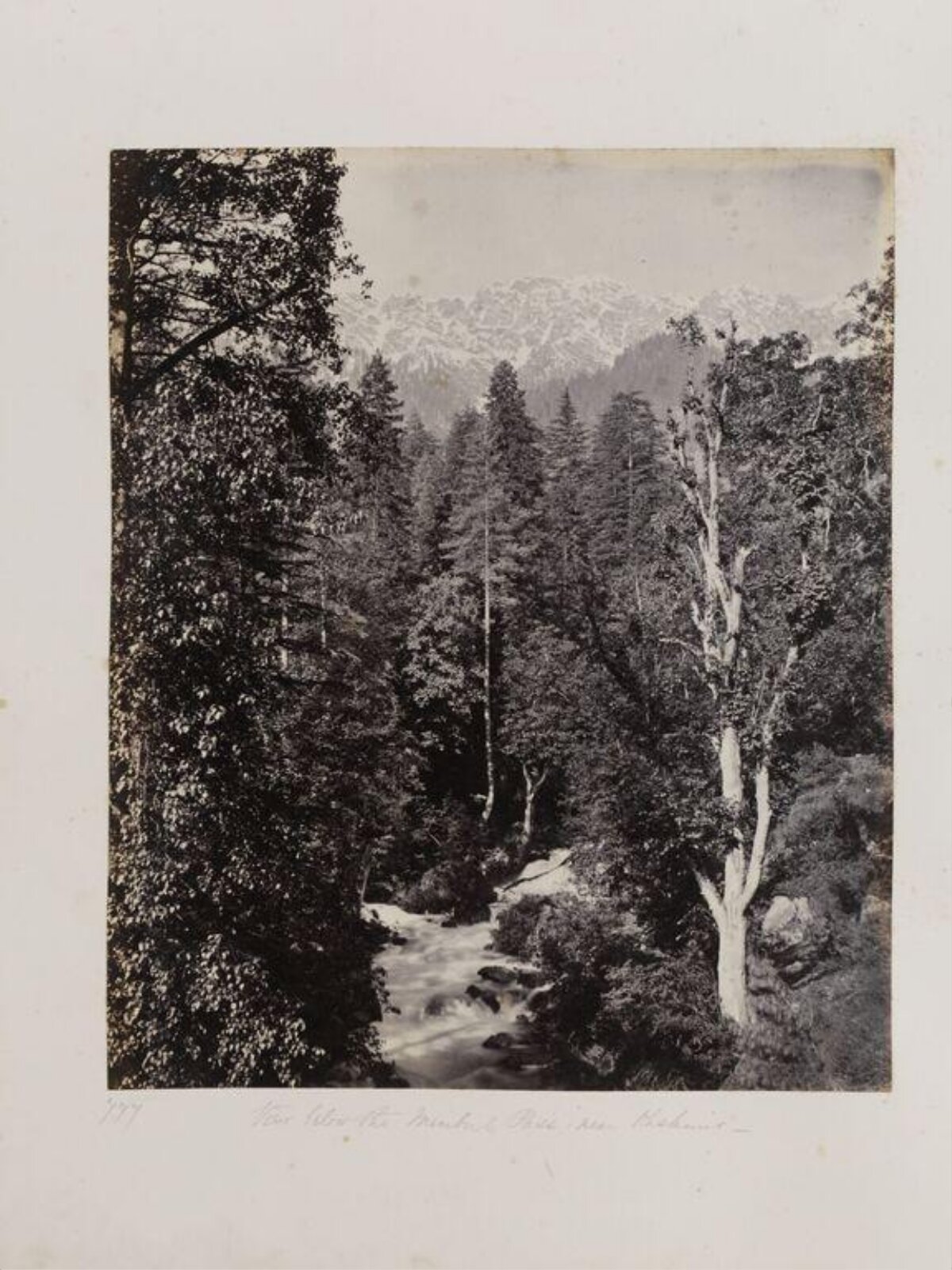 Vintage Mountain Forest River Landscape
