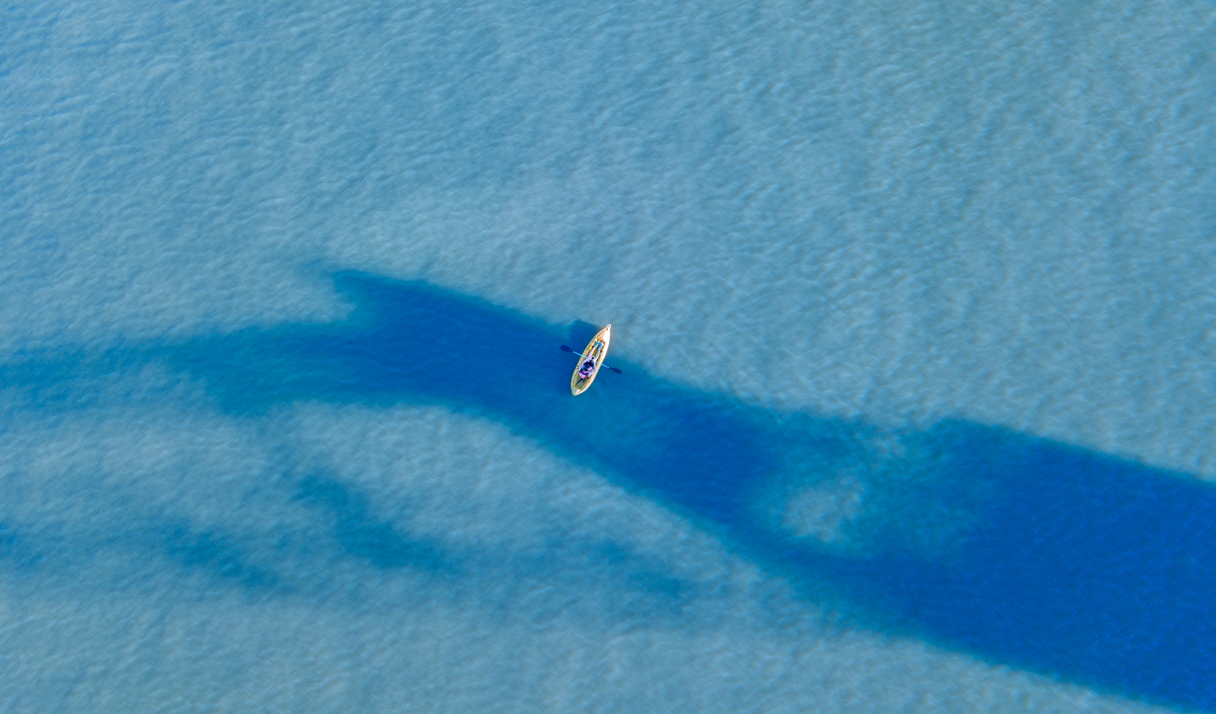 Kayak Over Whale Shadow in Open Sea