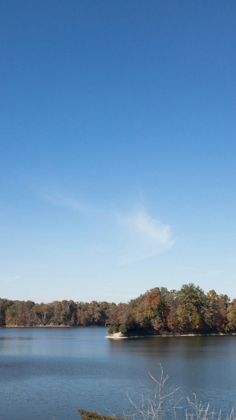 Autumn Lake Landscape