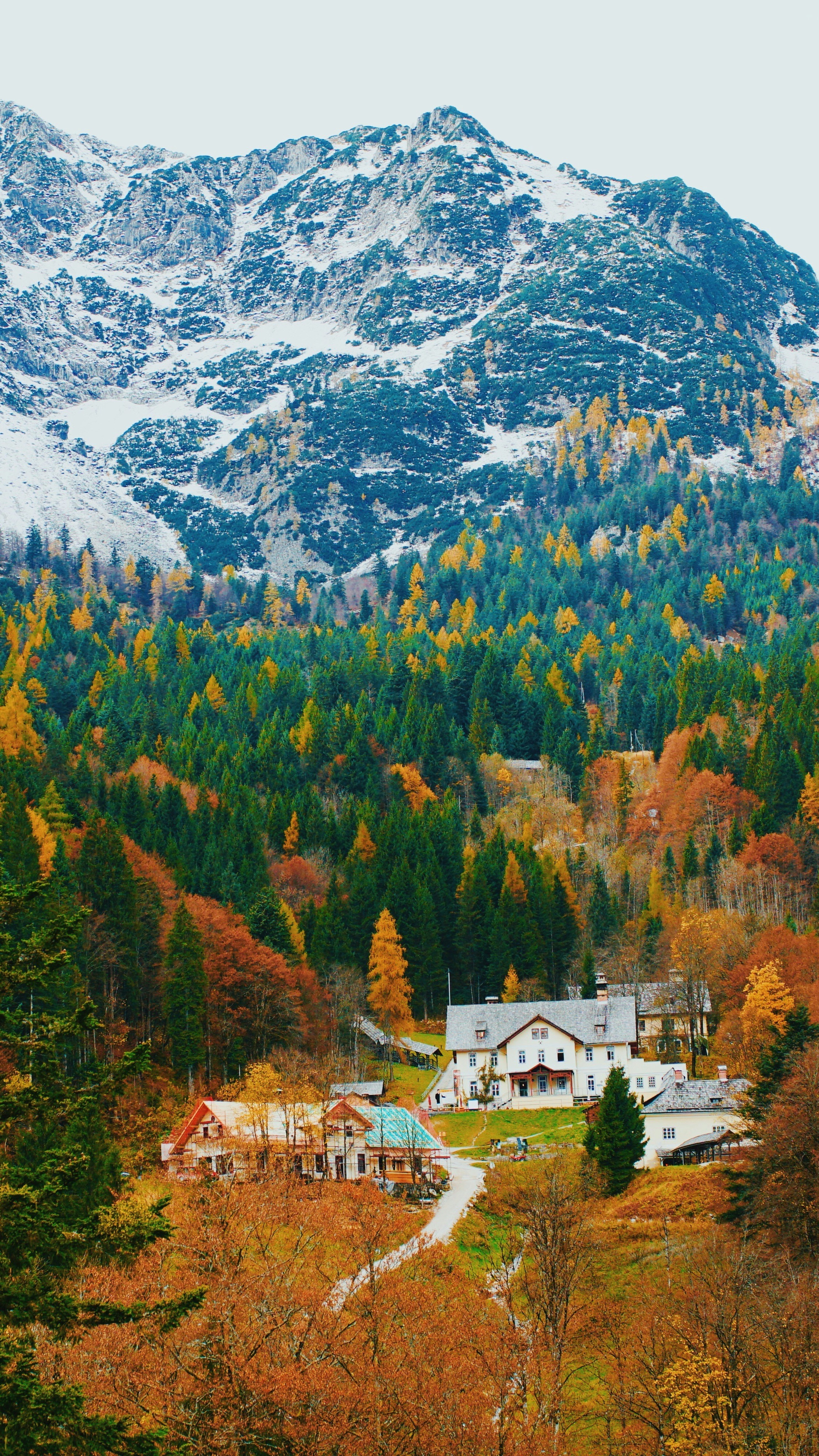 Autumn Mountain Village with Snowy Peaks