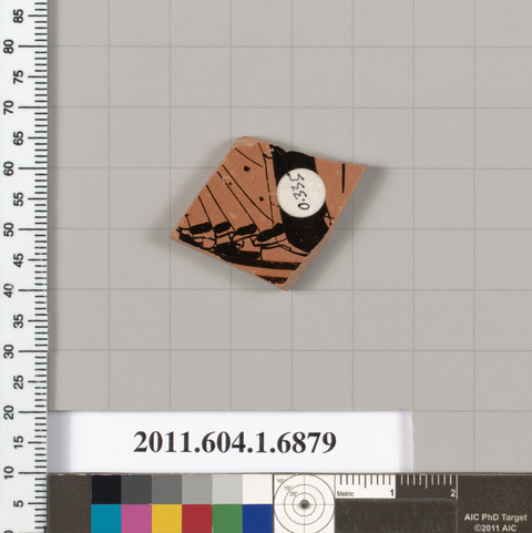 Ancient Pottery Fragment Specimen
