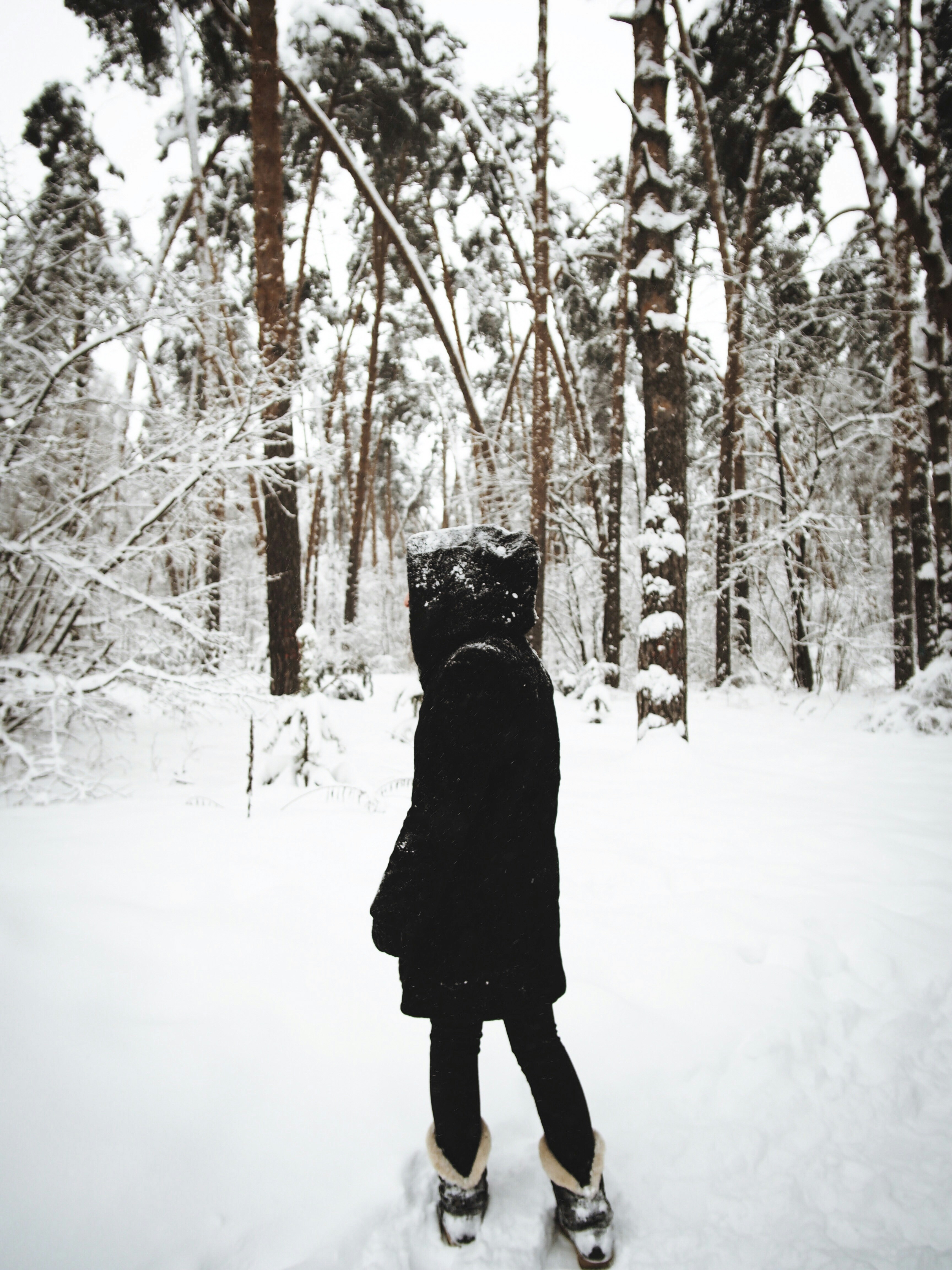 Person Standing In Snowy Forest
