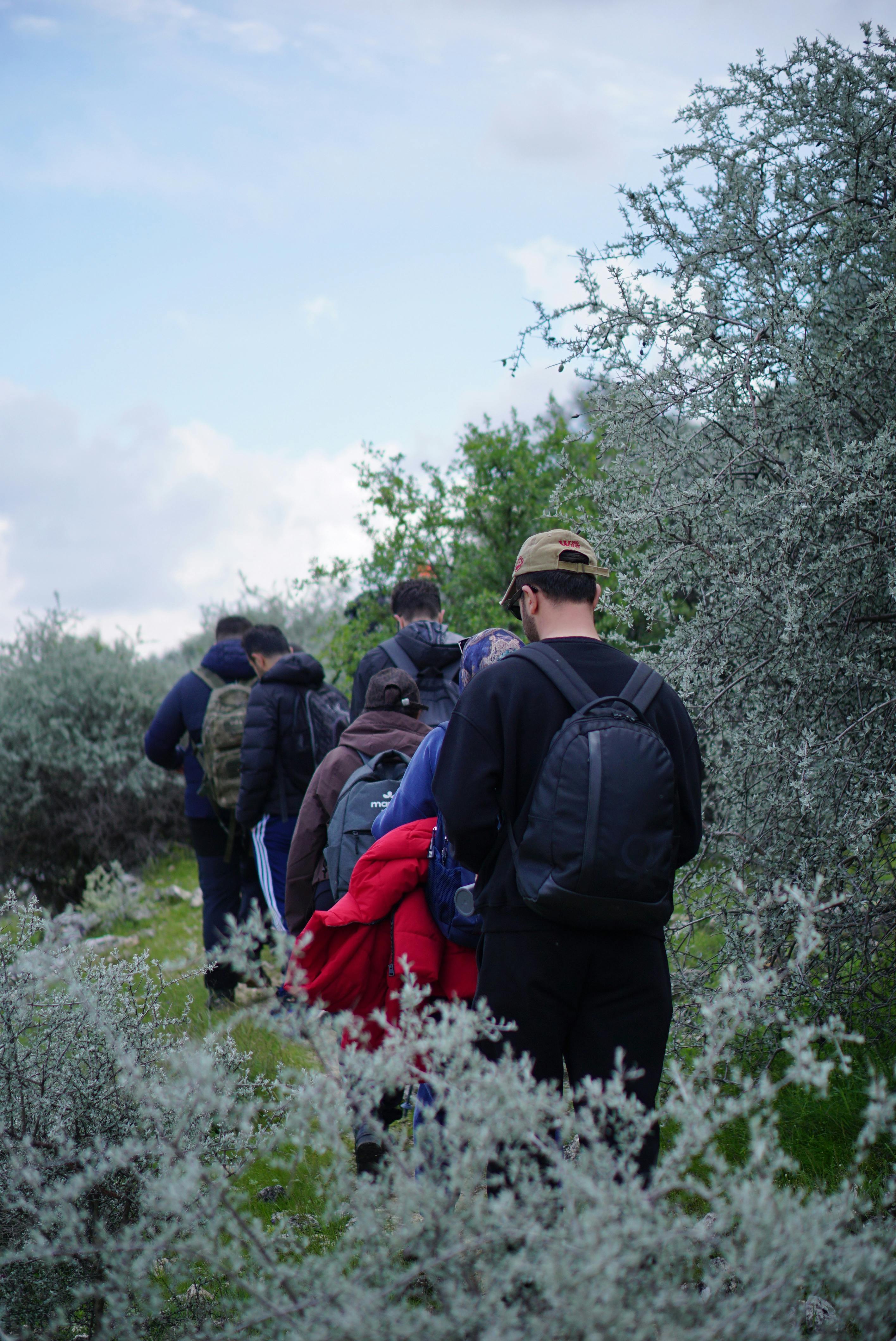 Group Hiking on a Nature Trail