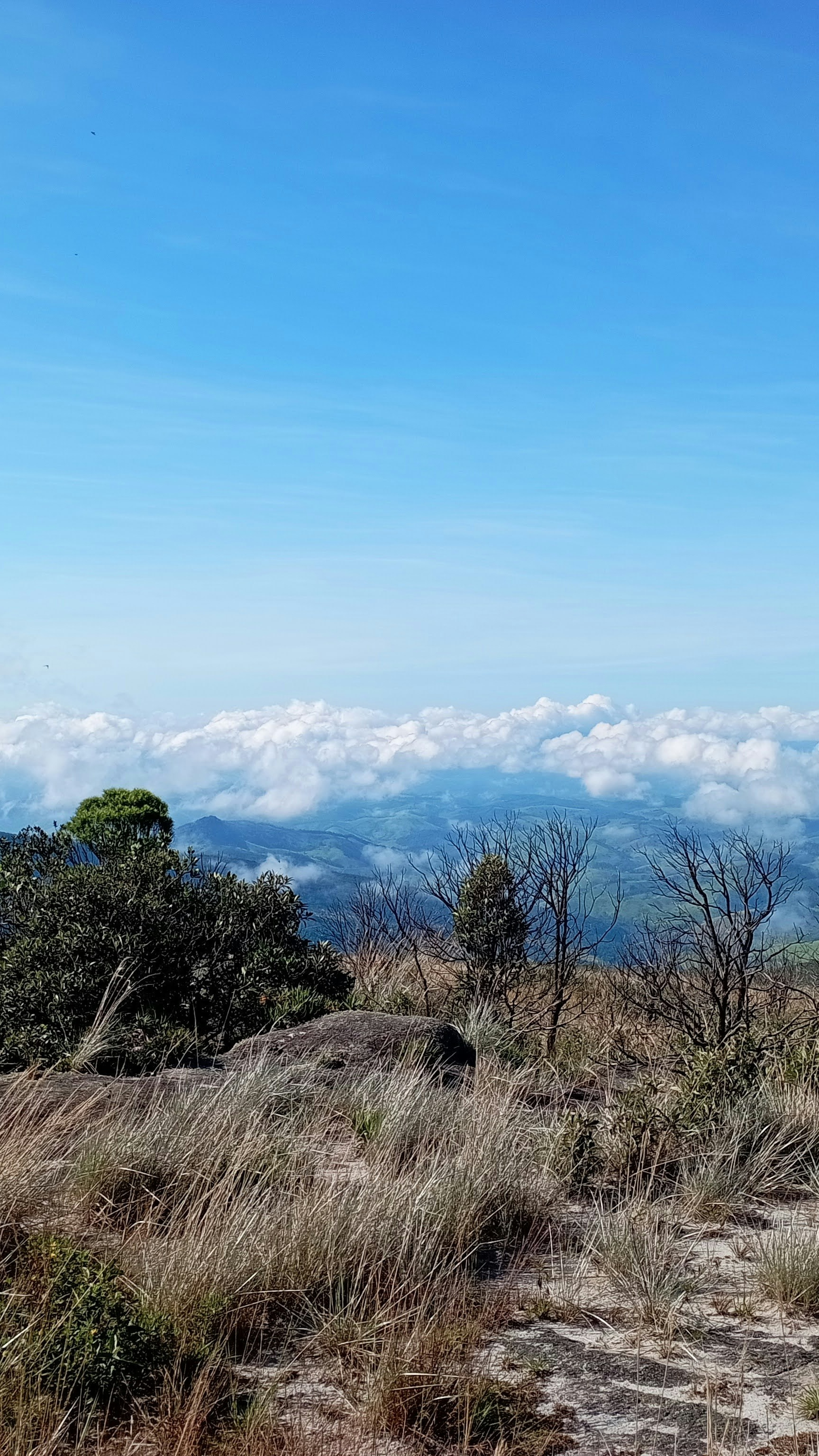 Mountain Top View Above Clouds