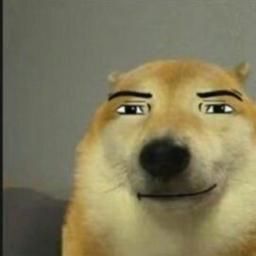 Edited Dog Meme With Human Features