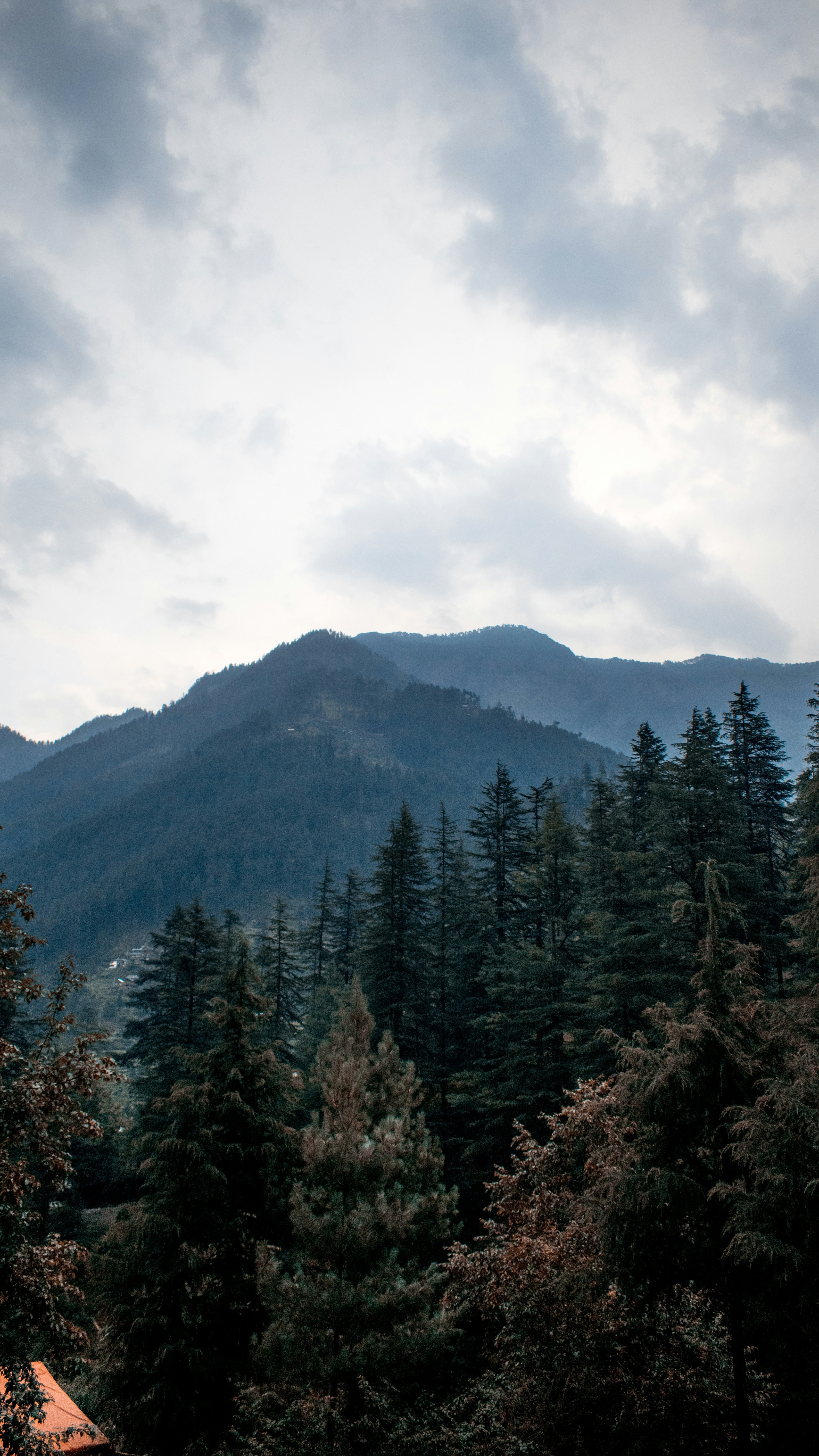 Landscapes