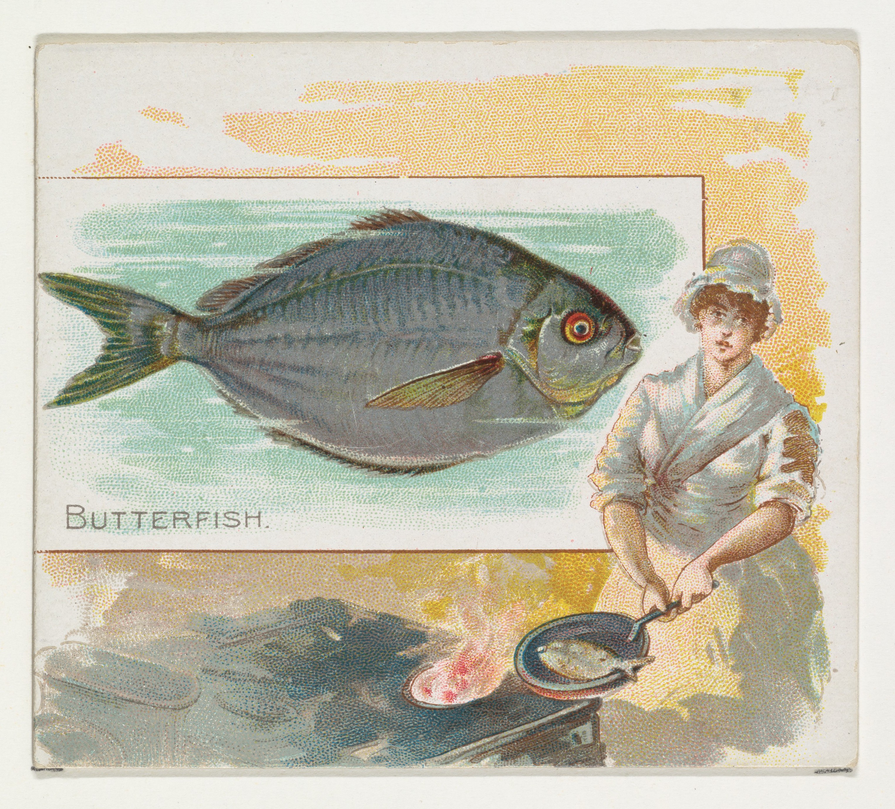 Vintage Butterfish Illustration