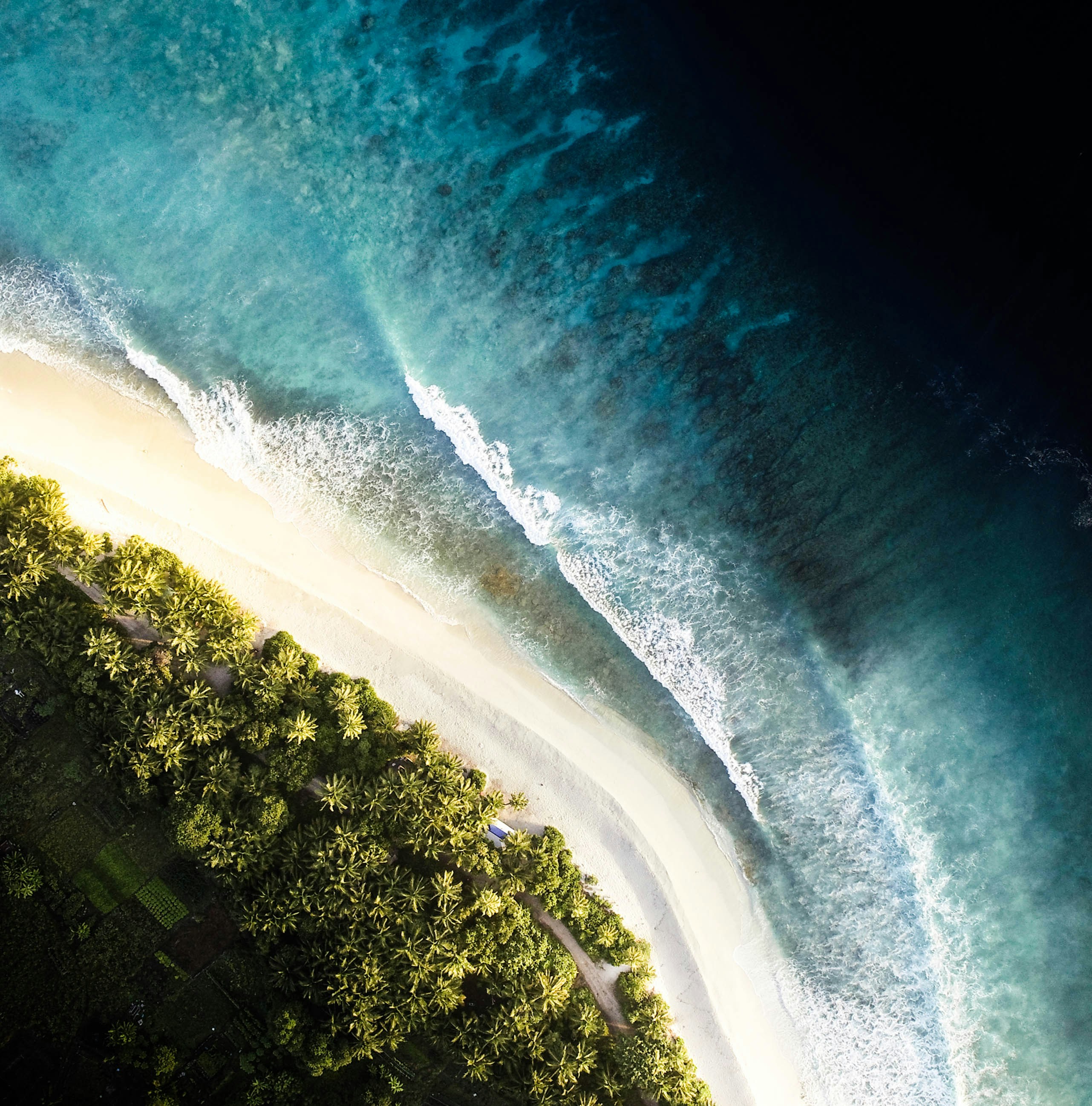 Aerial View of Tropical Beach