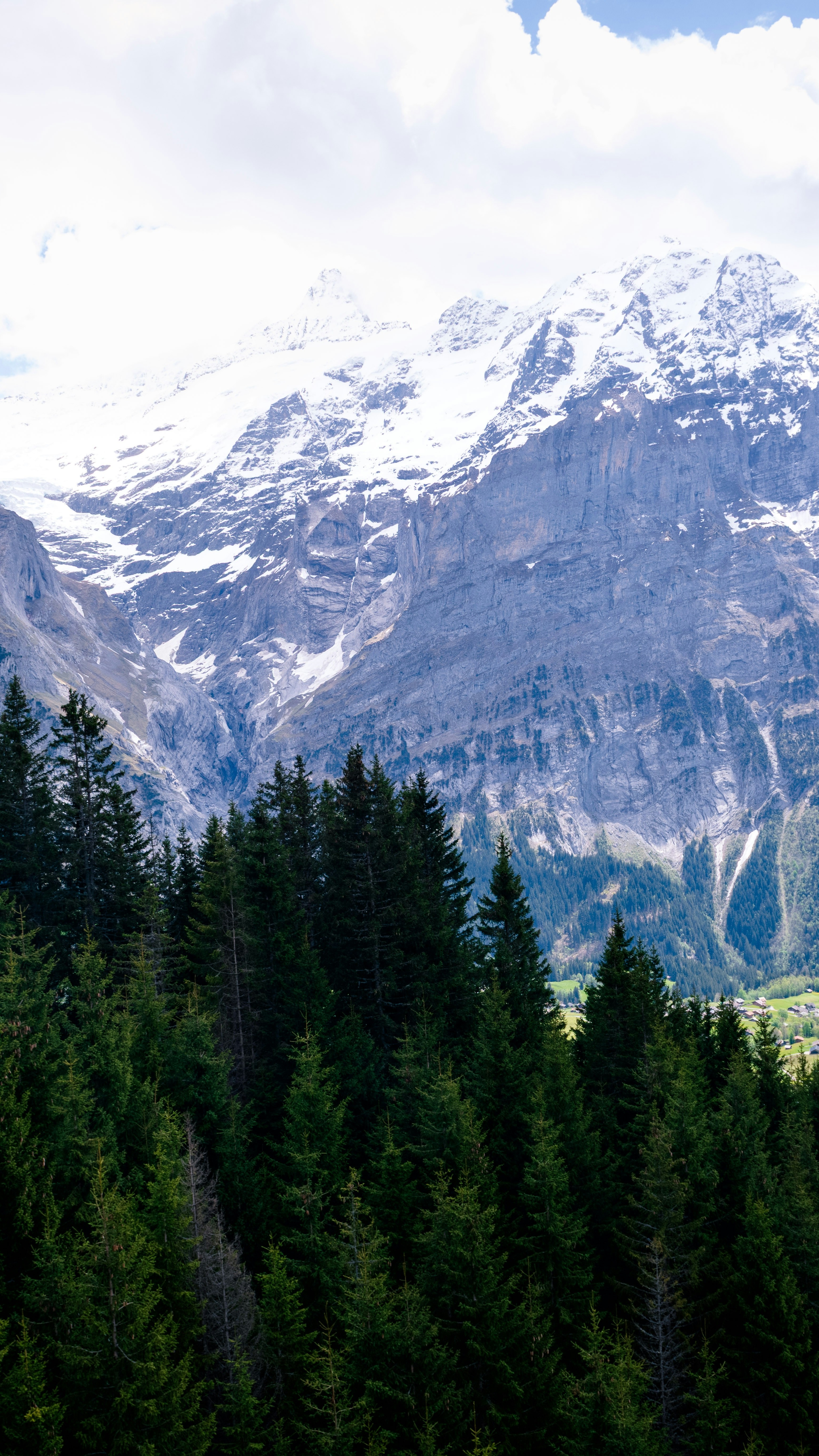 Snow-capped Mountain Forest Landscape