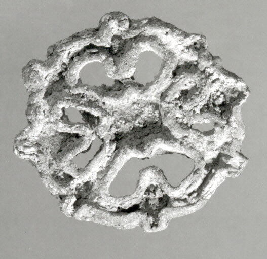 Fossilized Porous Coral Skeleton