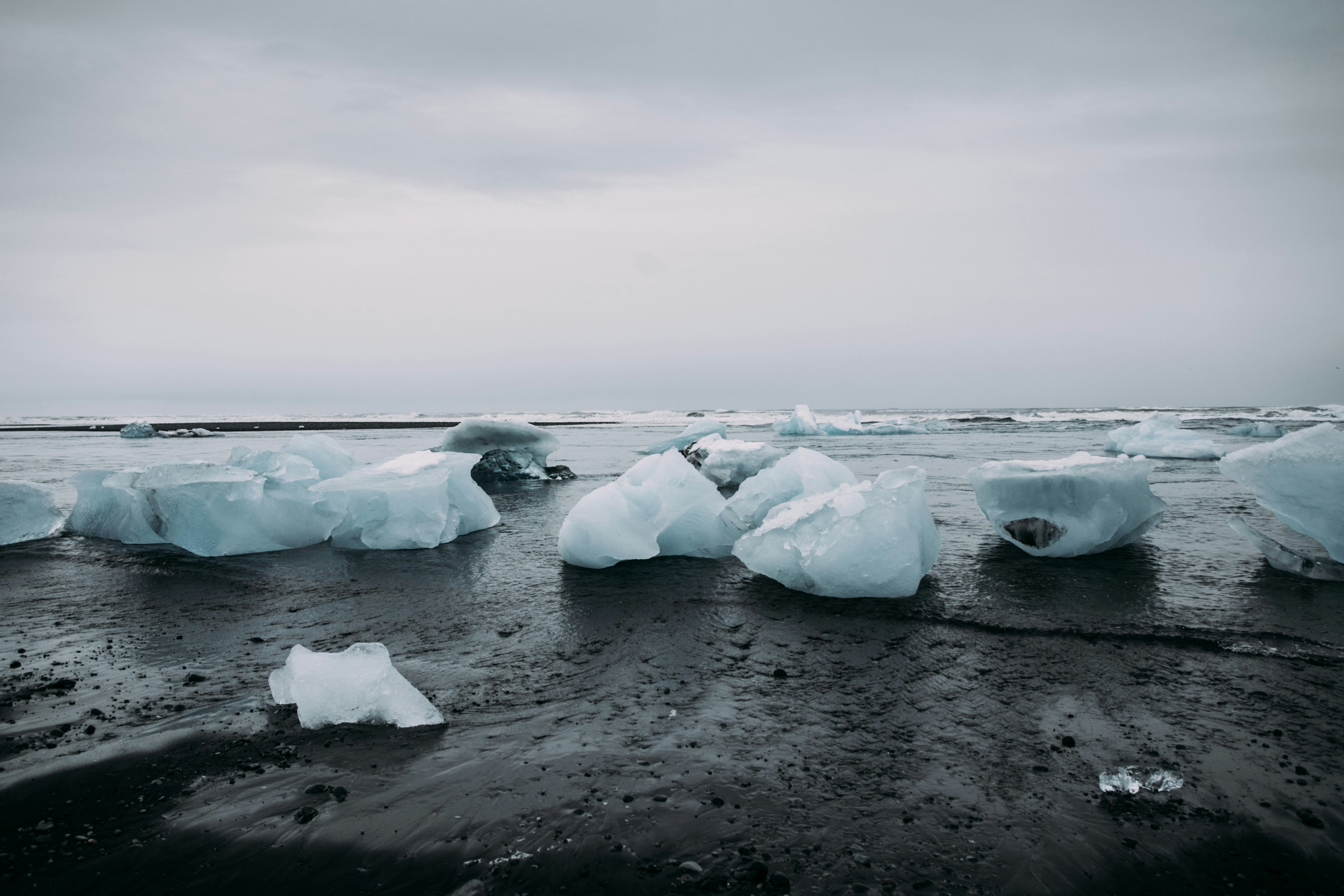 Icebergs on Black Sand Beach