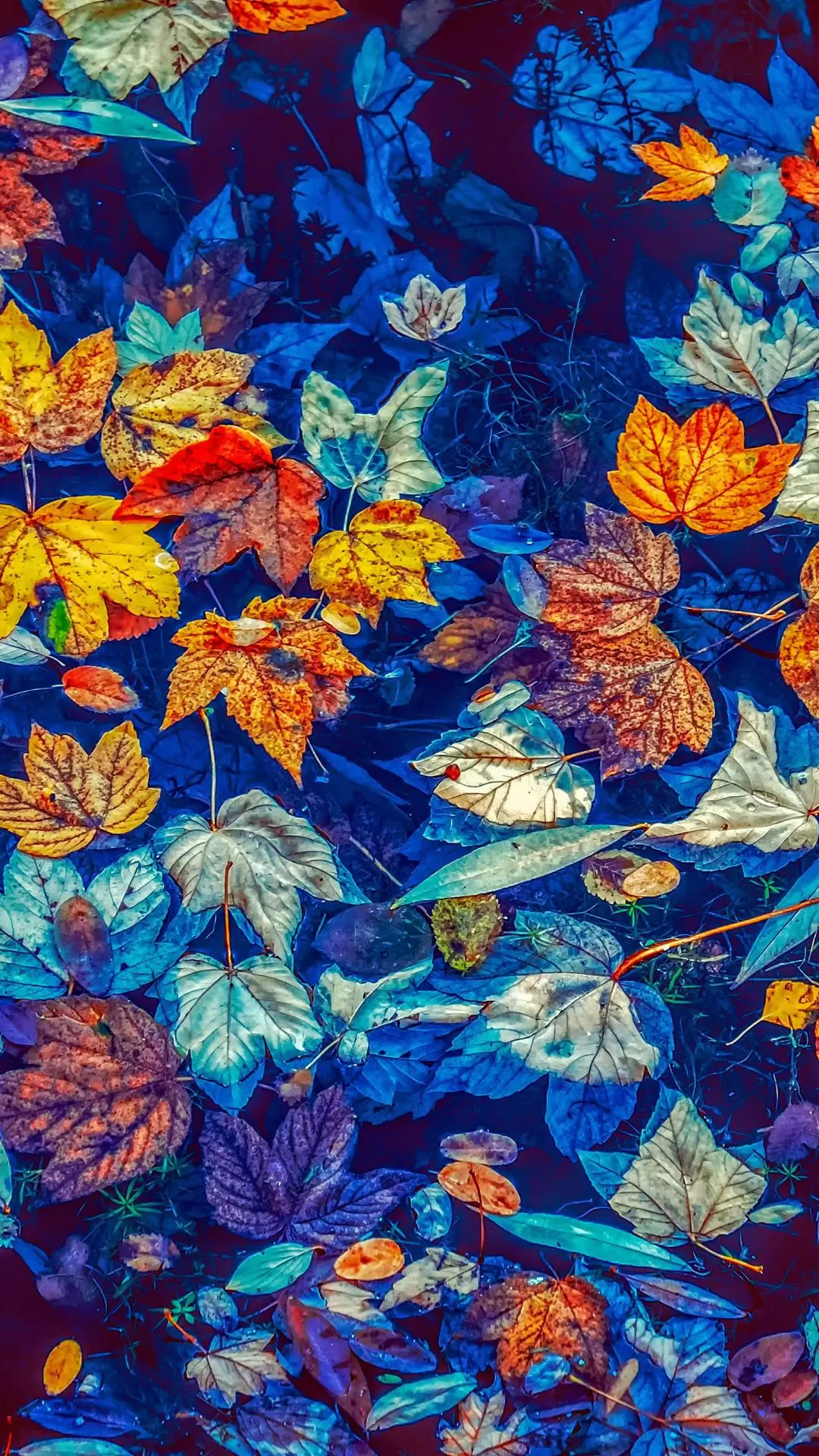 Wallpapers