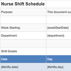 Nurse Shift Schedule