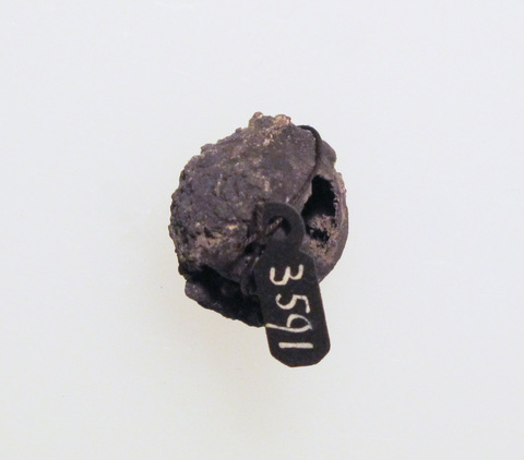 Labeled Rock Mineral Specimen
