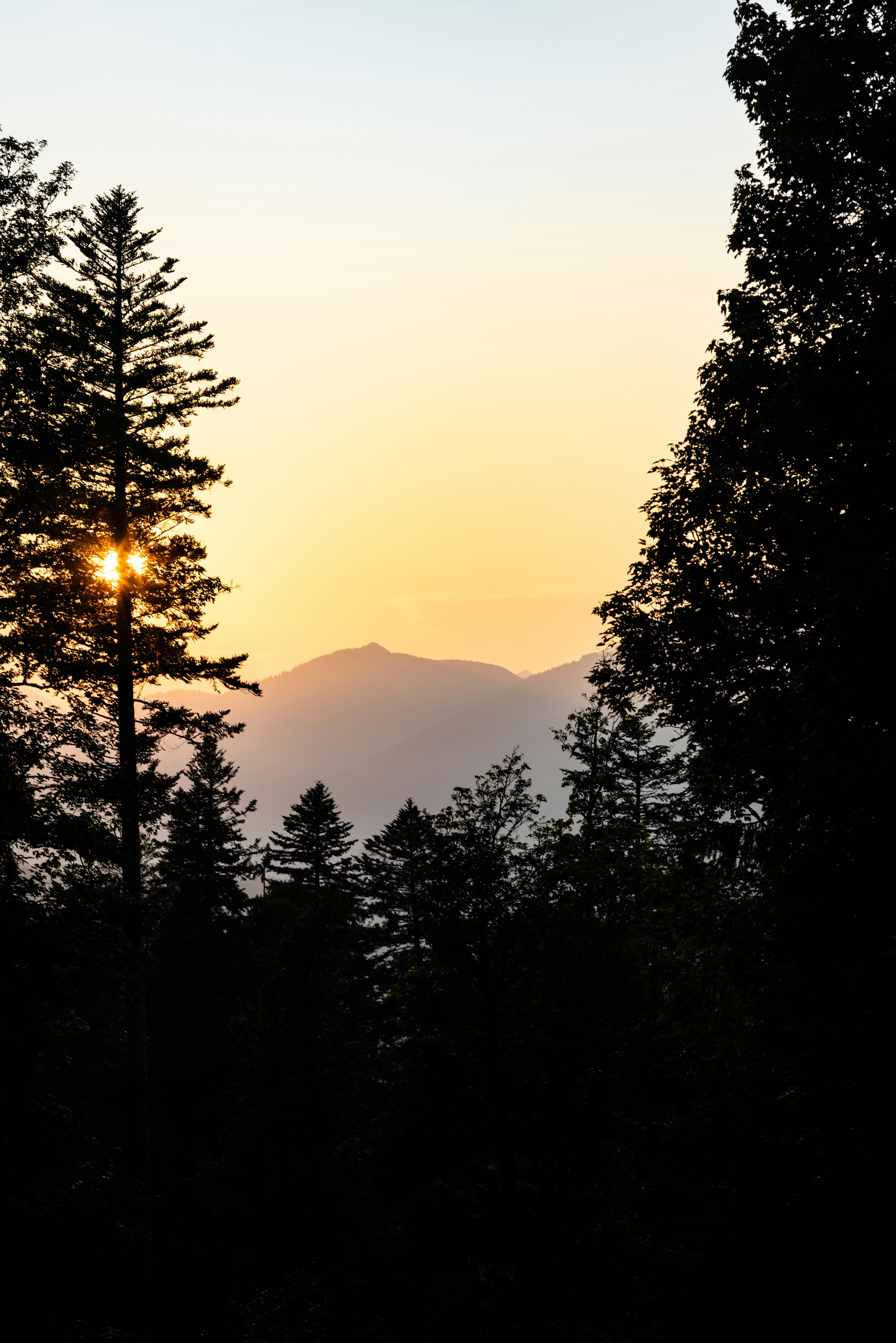 Sunrise Mountain Forest Silhouette