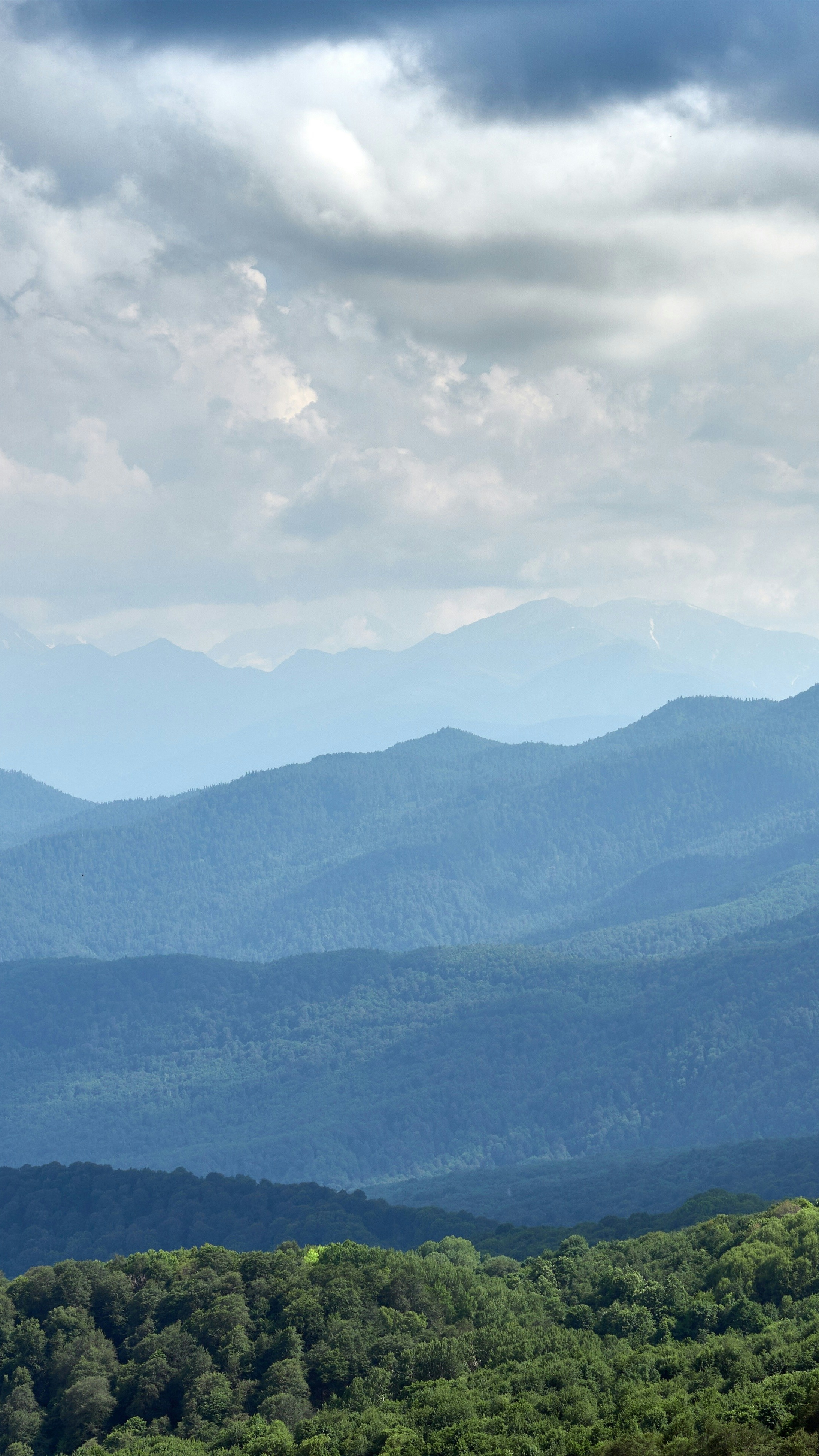 Landscapes