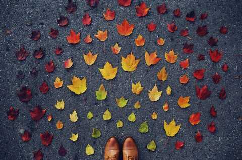 Heart Shaped Autumn Leaves on Pavement