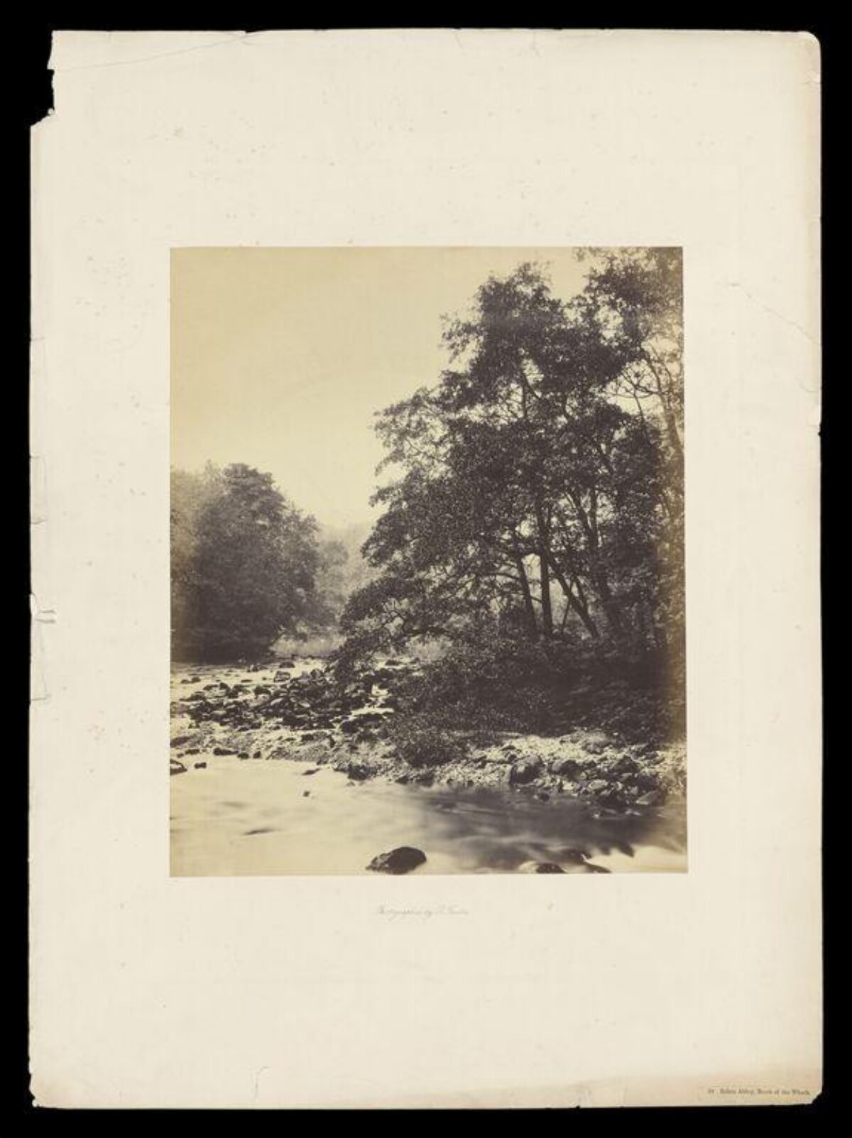 Vintage Rocky River Wooded Landscape