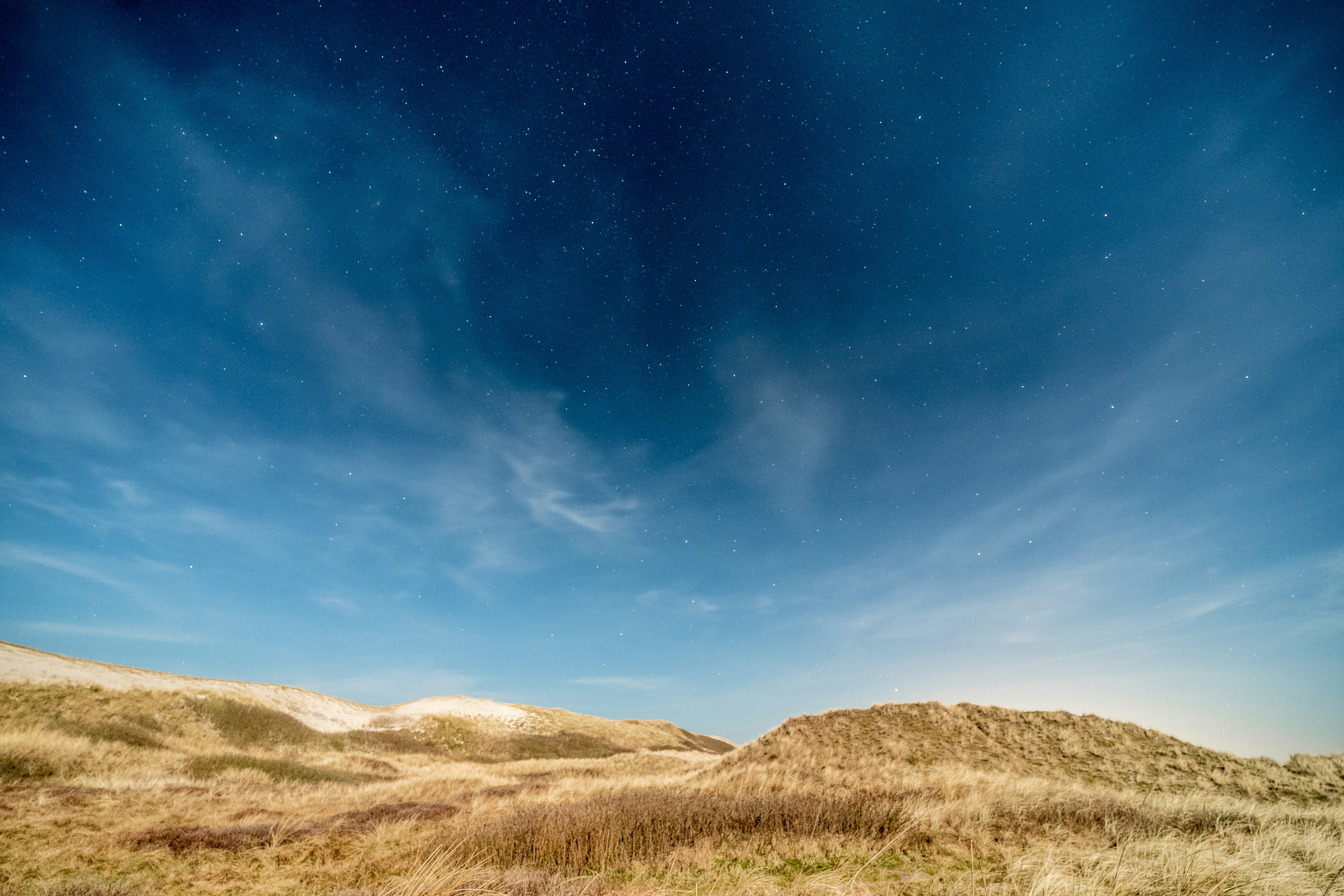 Starry Night Over Coastal Dunes