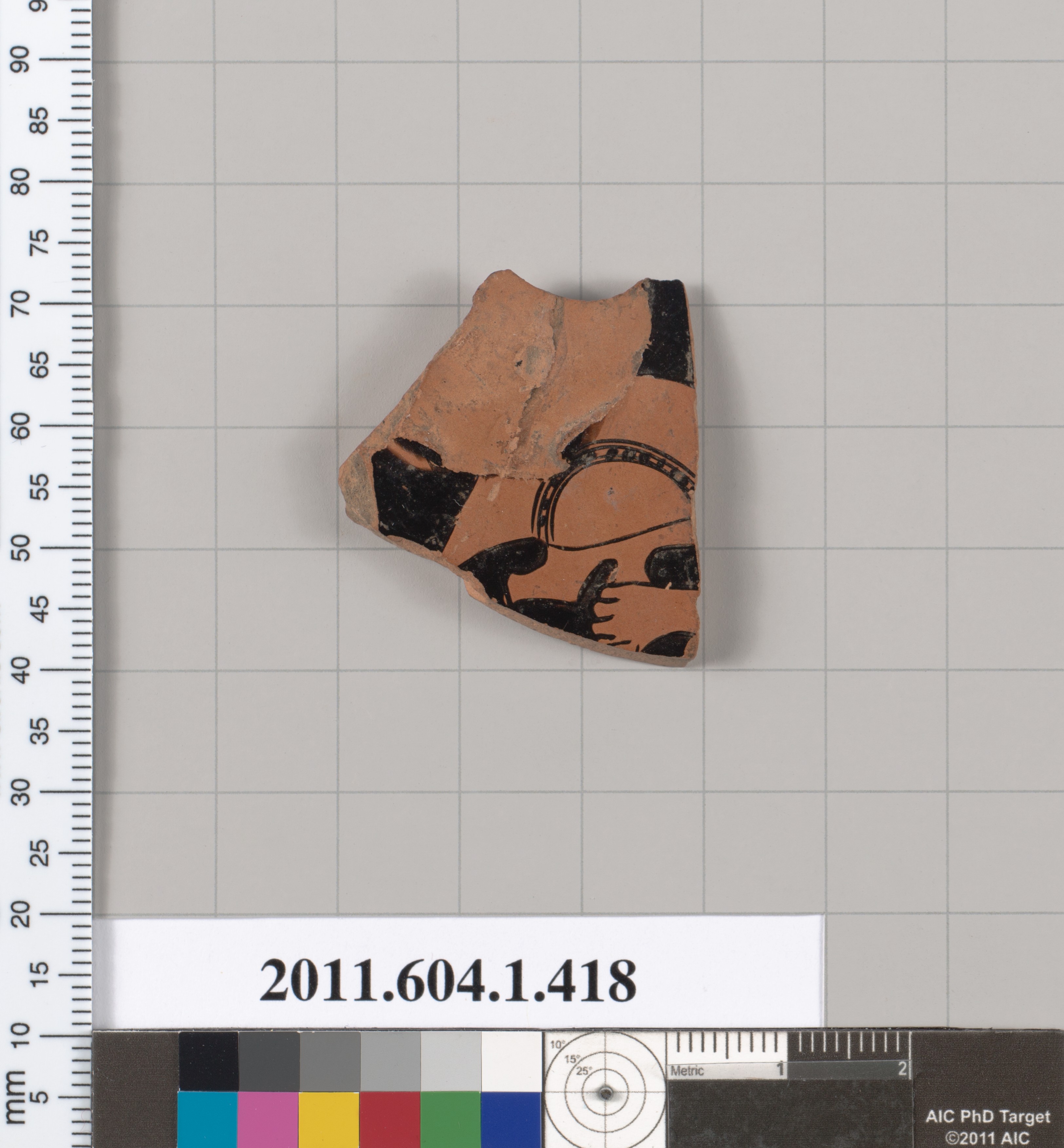 Ancient Terracotta Pottery Fragment