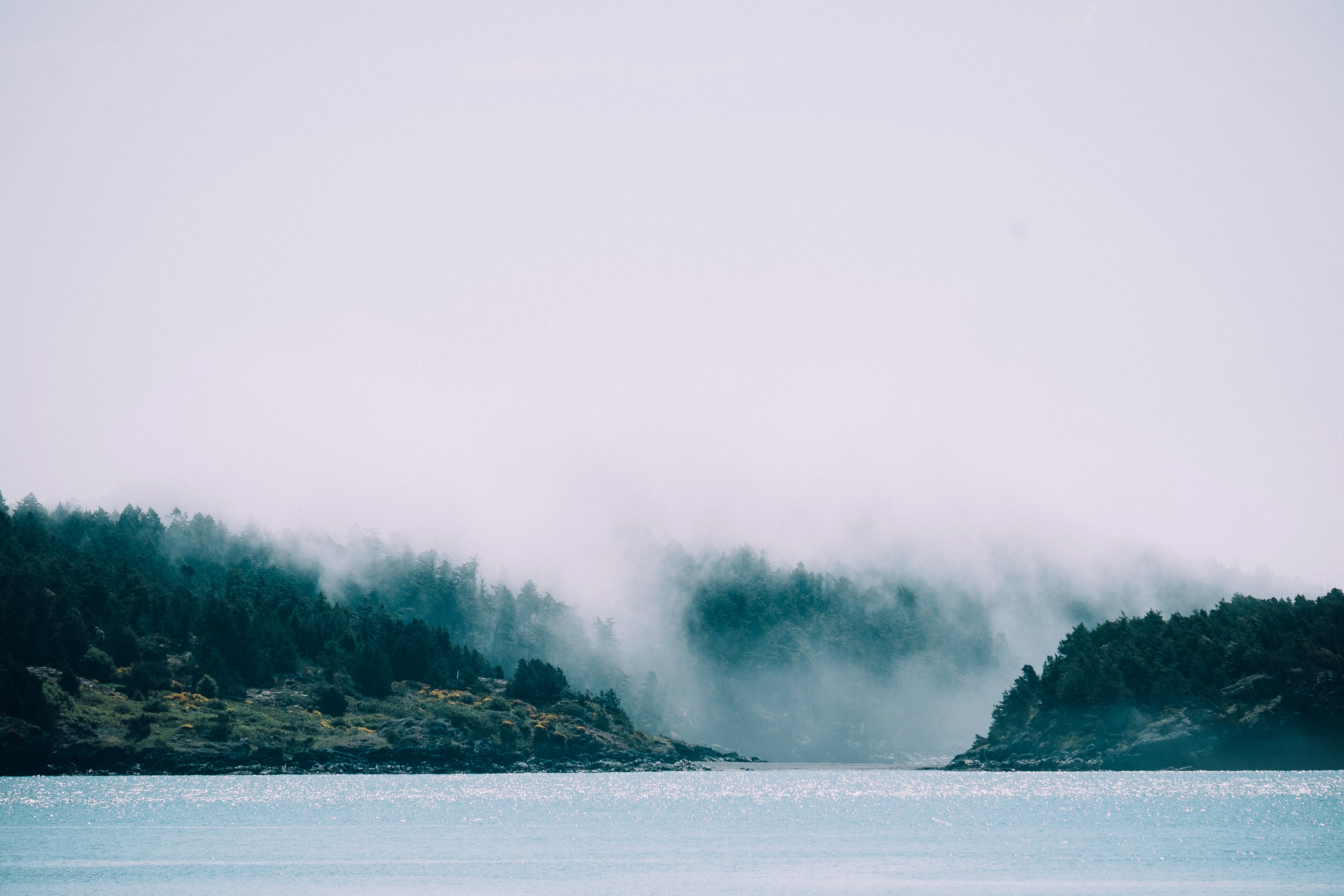 Foggy Coastal Inlet Landscape