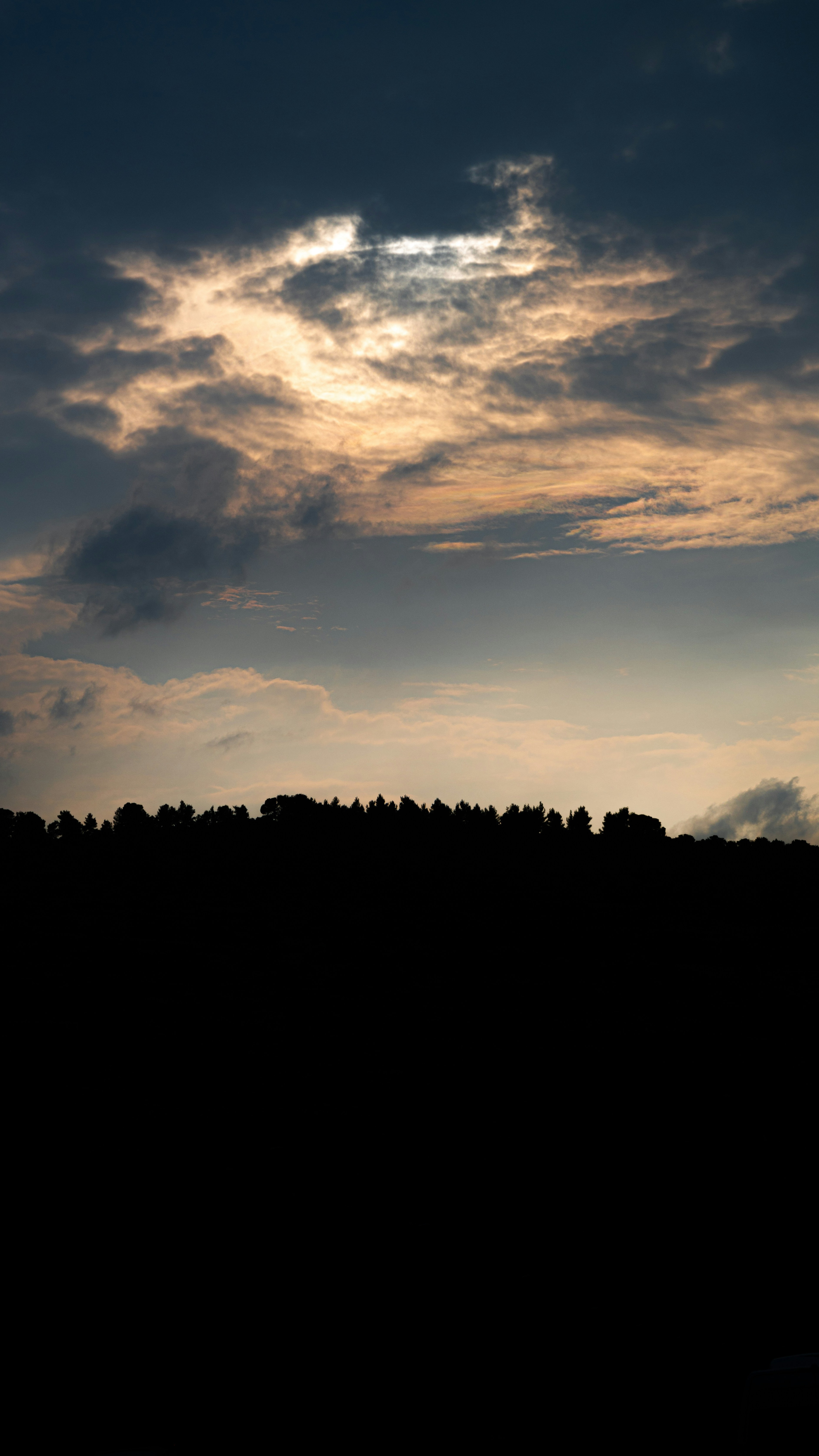 Silhouetted Treeline at Dusk