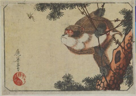 Monkey on Pine Tree Woodblock Print