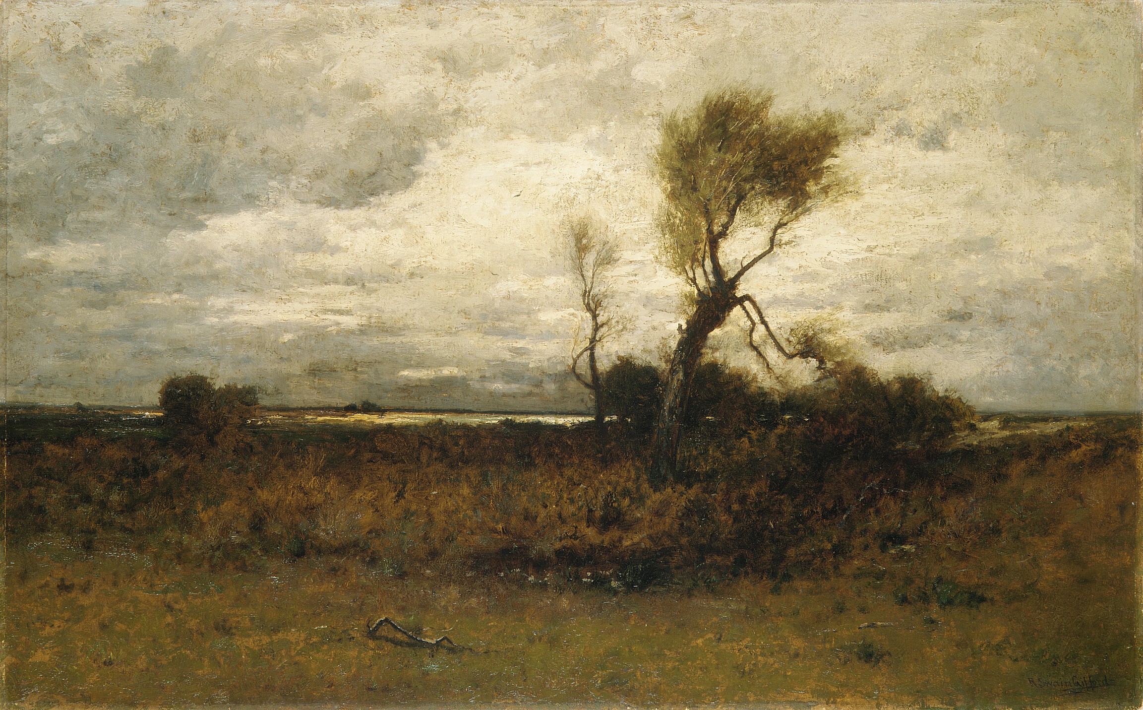 Windy Open Field Landscape