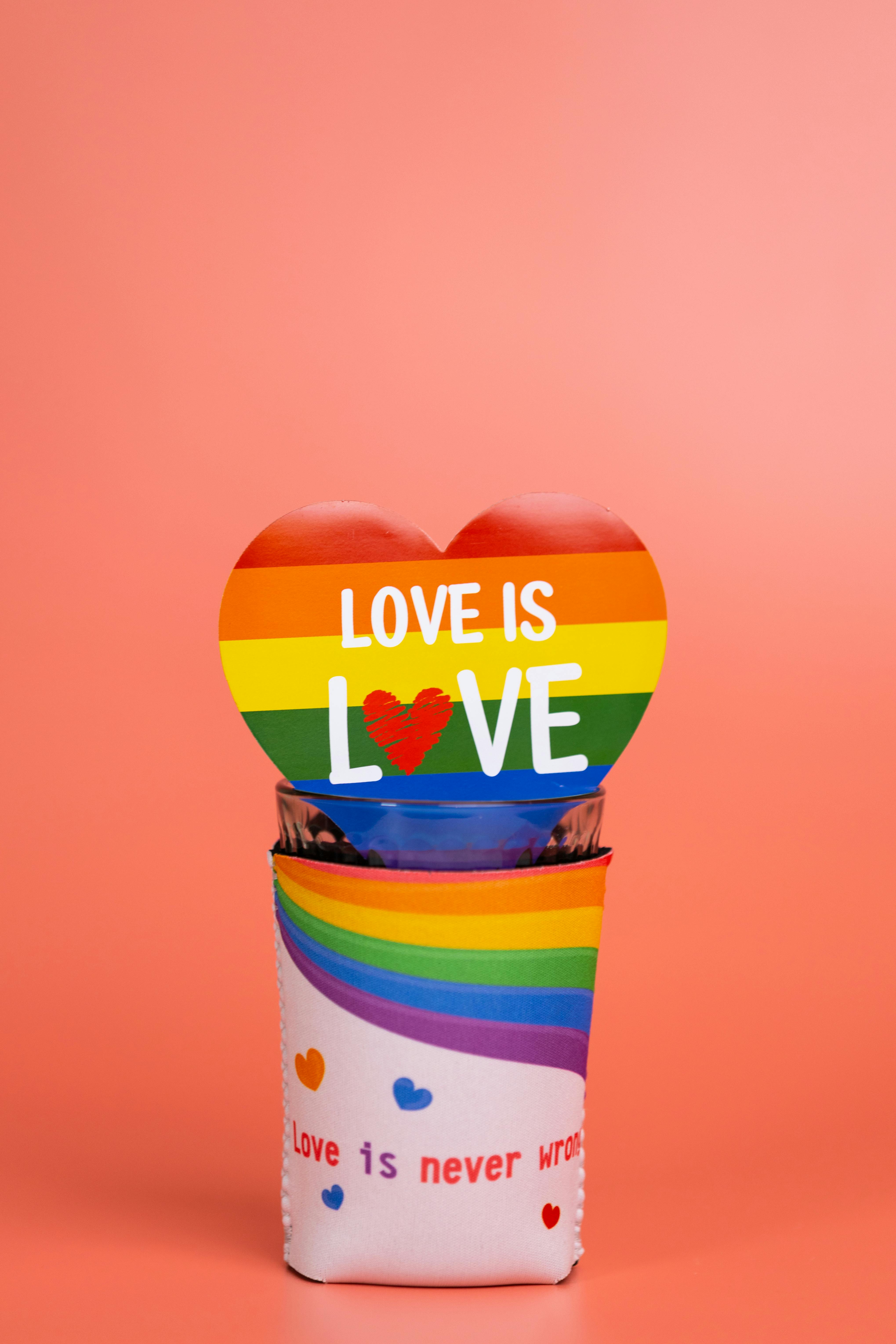 Pride Themed Love Is Love Decor