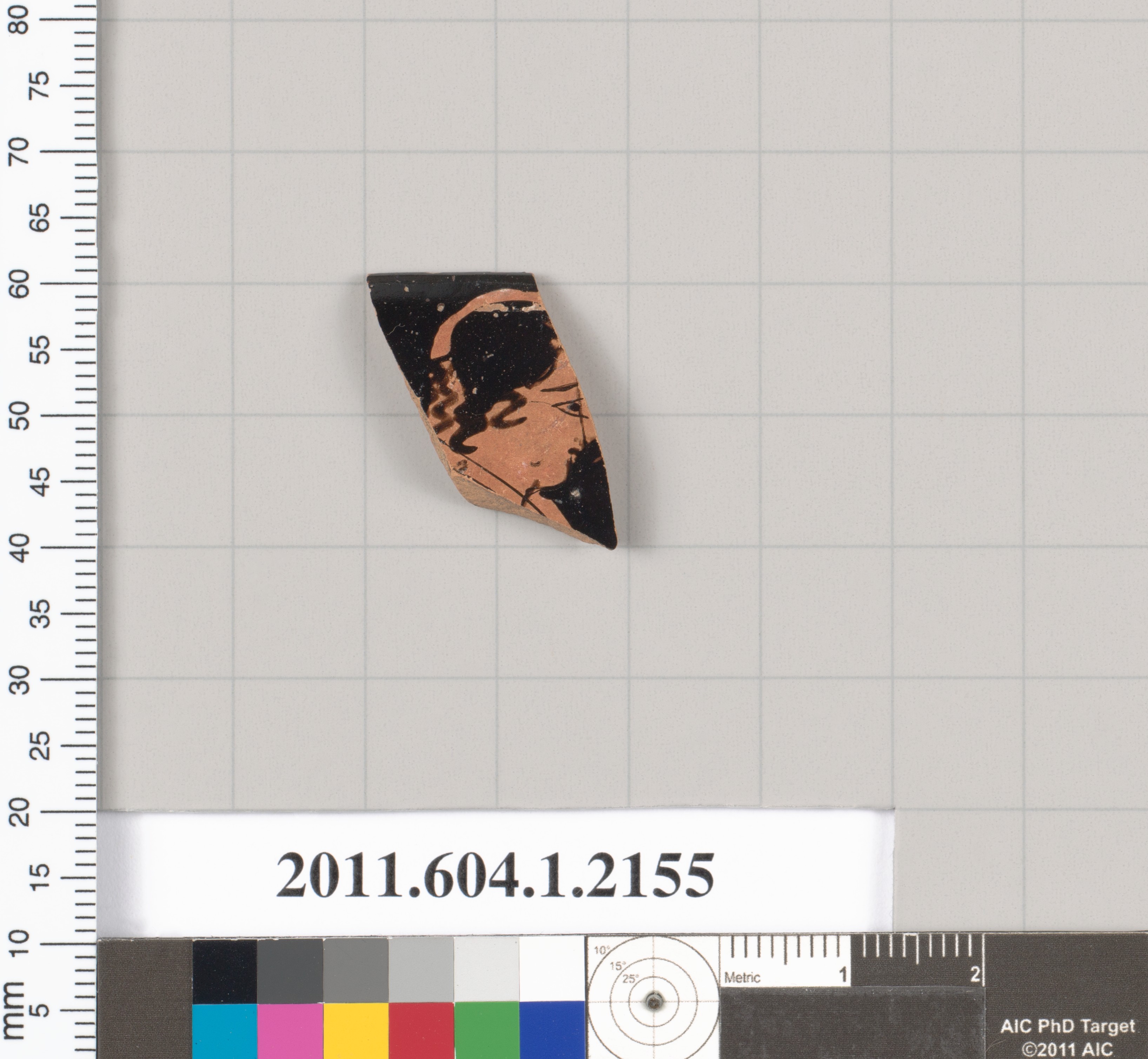 Ancient Pottery Fragment on Measurement Grid