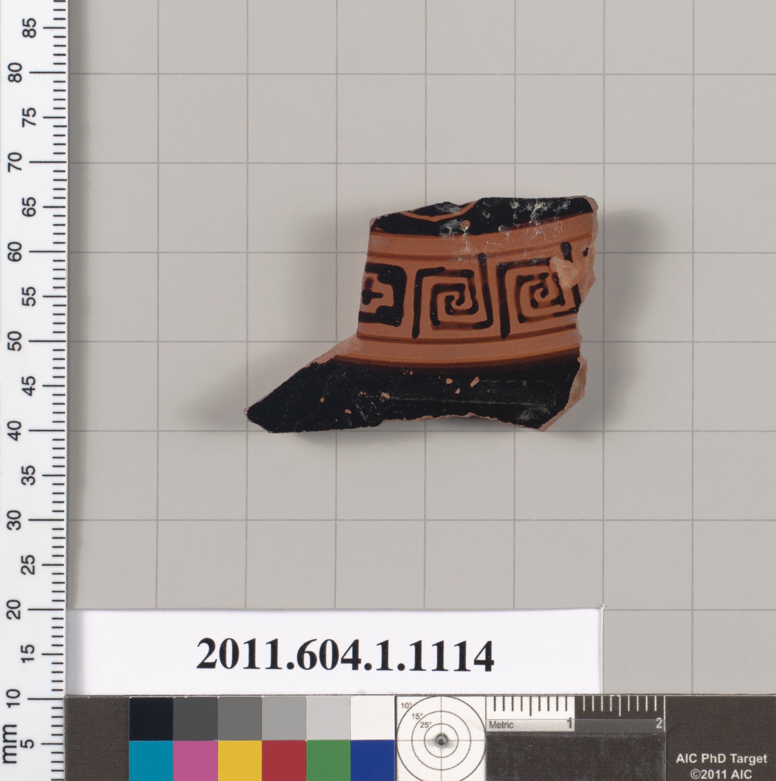 Ancient Pottery Fragment Specimen