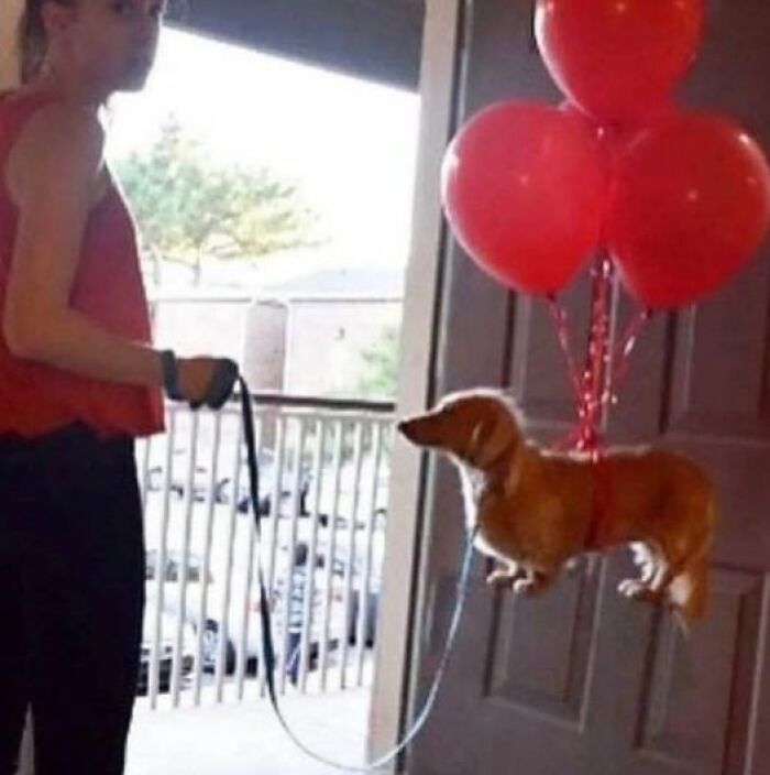 Image 24187 — Funny