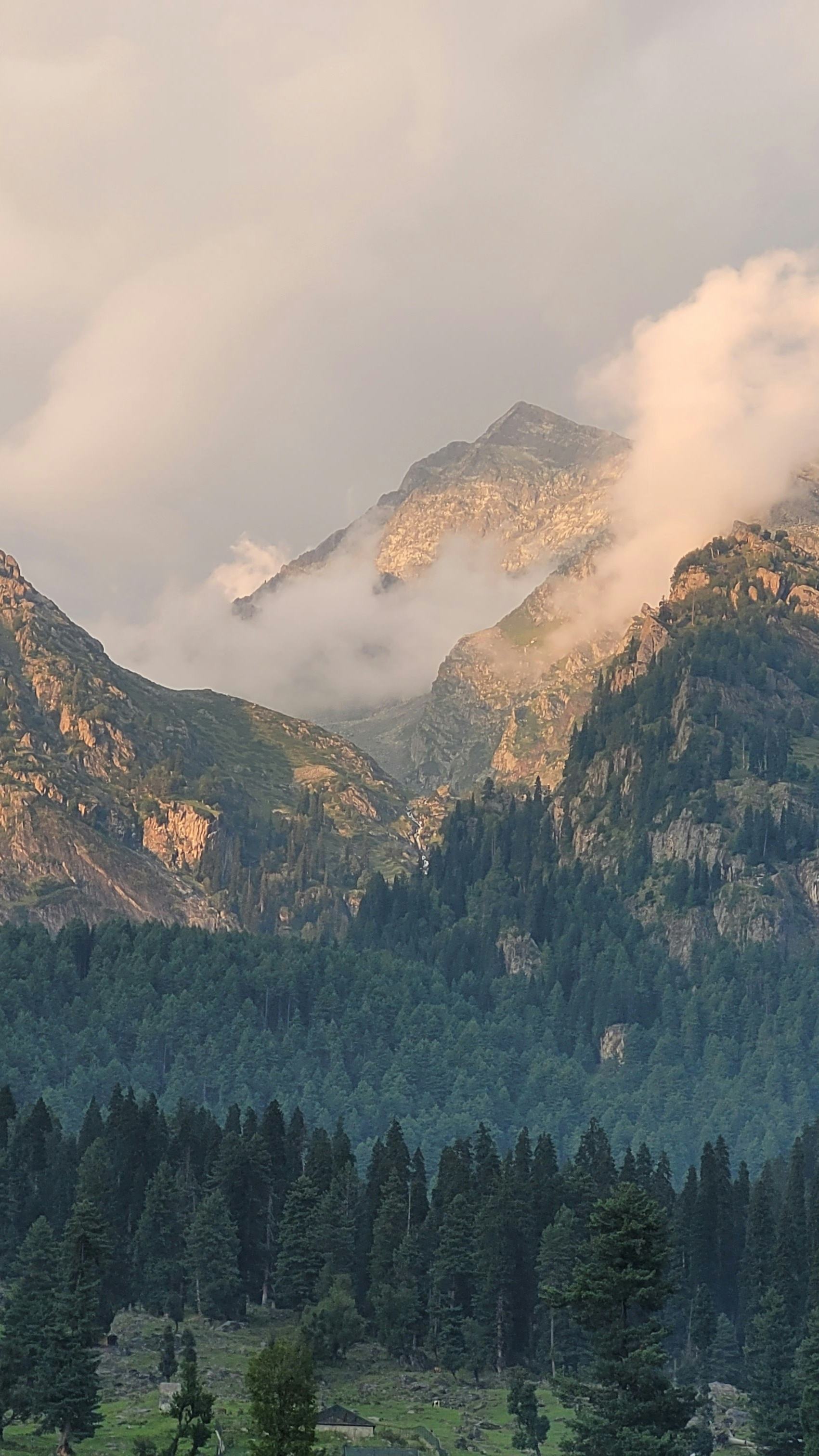 Landscapes
