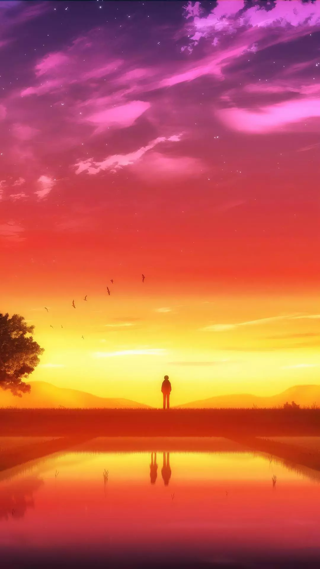 Landscapes