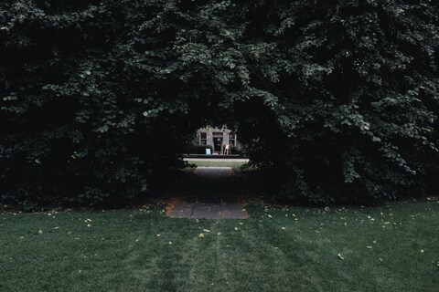 Path Through Hedge Arch to Distant Building