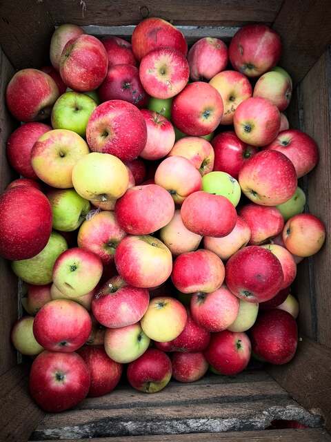 Fresh Apples In Wooden Crate