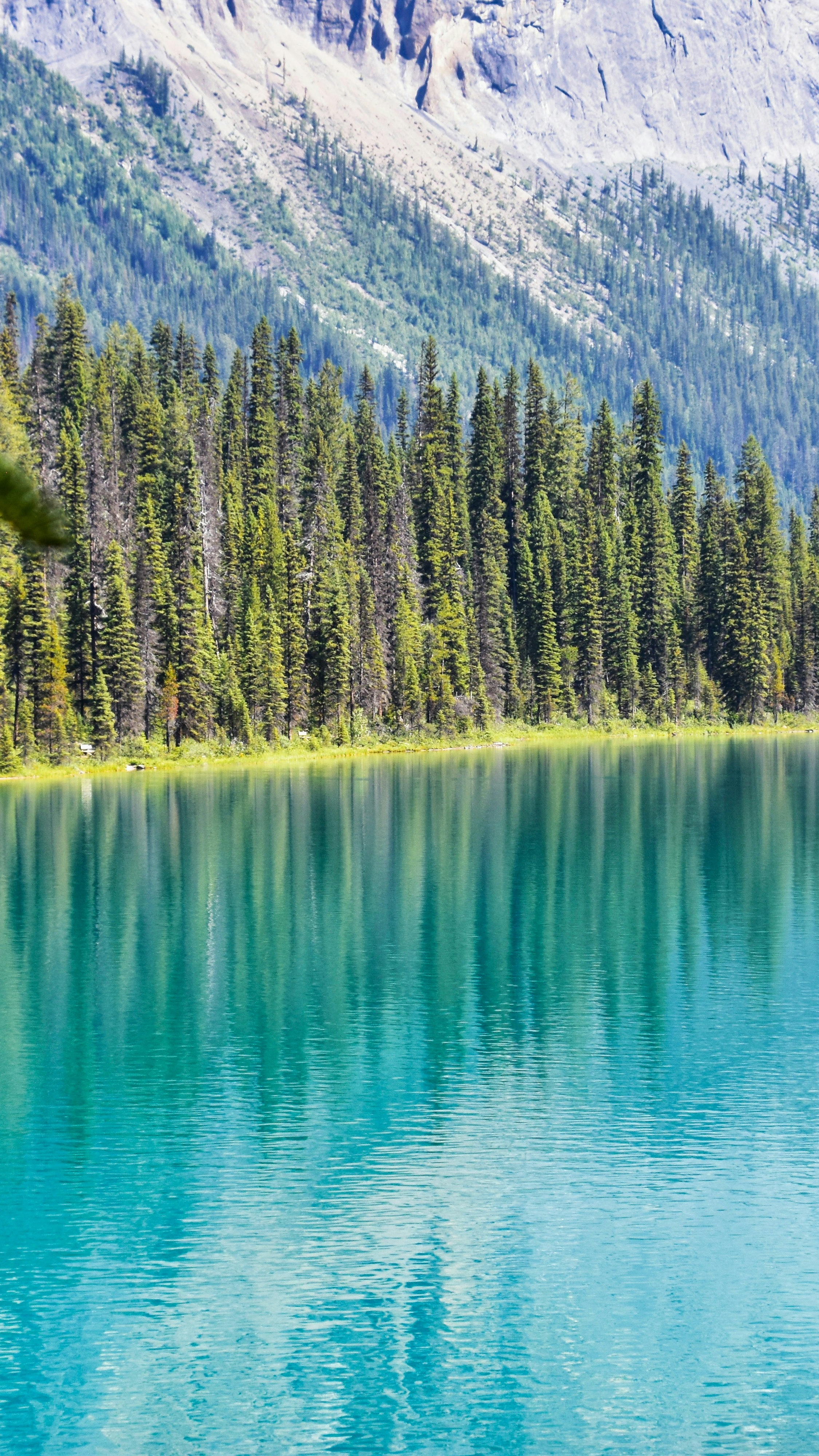Landscapes