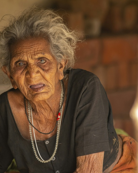 Portrait of an Elderly Woman